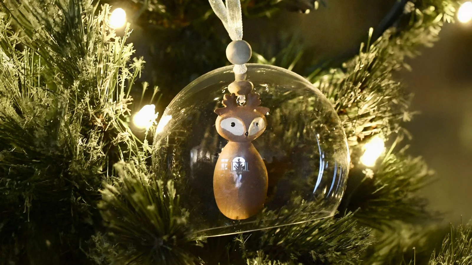 The Friday Find: Acrylic Dome Ornament