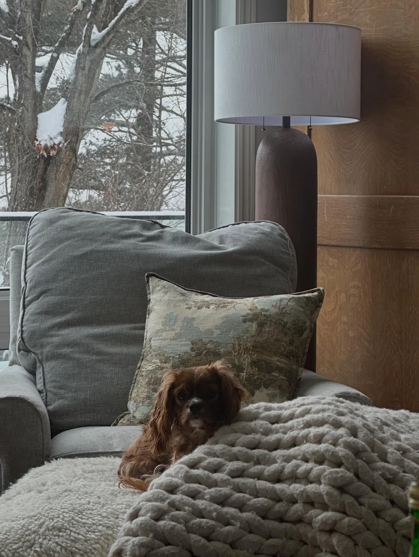 Design Tip ✨
If you want a room to feel instantly more inviting, start with texture. Layering different materials &mdash; soft upholstery, a chunky knit throw, and a cozy sherpa layer &mdash; adds warmth and depth without needing bold colours or comp