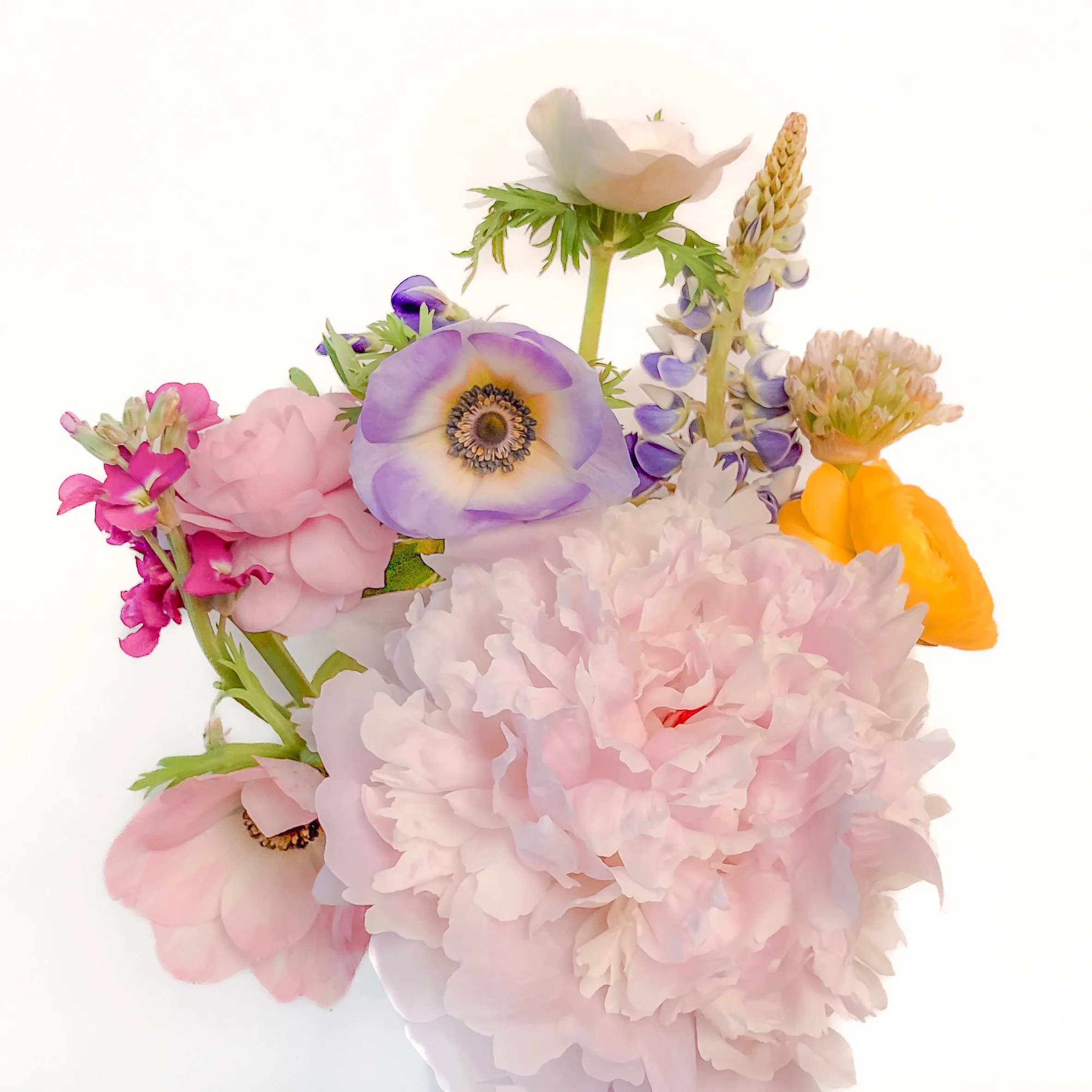 #TheFridayFind this week is this absolutely gorgeous bouquet of early summer flowers from  @casaniyafarm 💐
You can find these beautiful, locally grown blooms weekly @muskokanaturalfoods or @kalahouseofcolour in Bracebridge, or @bracebridge_farmers_m