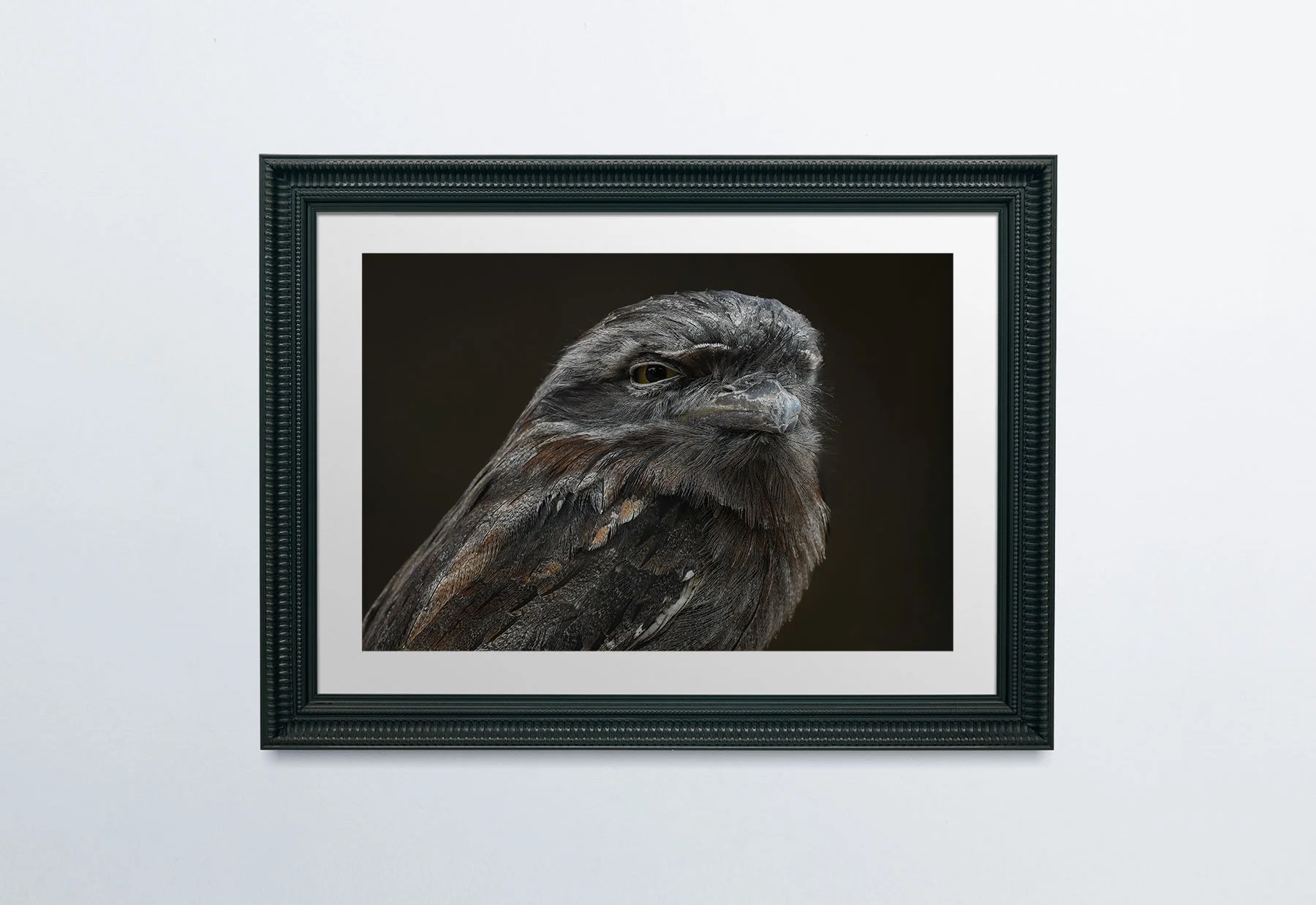 AncientSoulBlackFrame-PlainWall.jpg