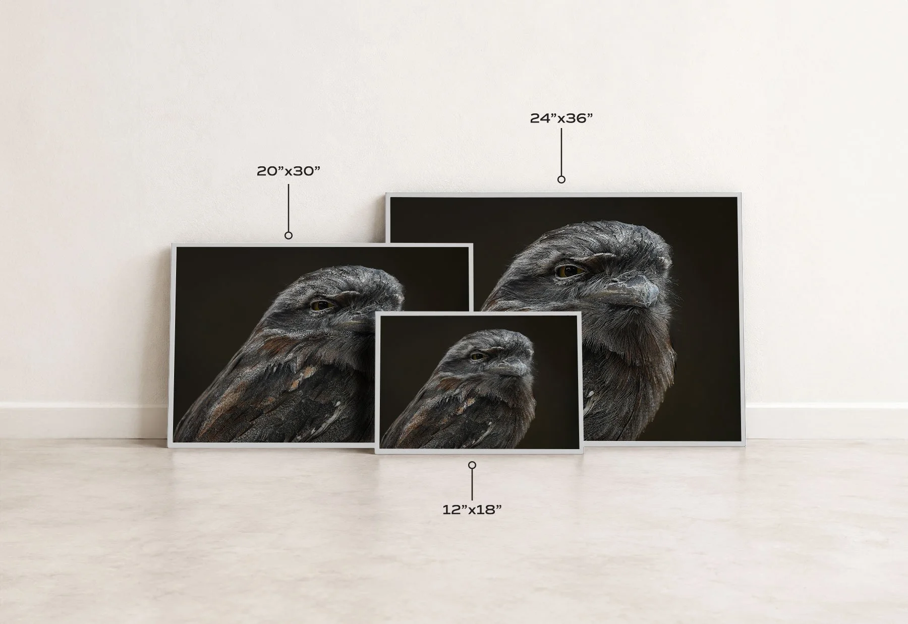 AncientSoulSizeComparison-Mockup.jpg