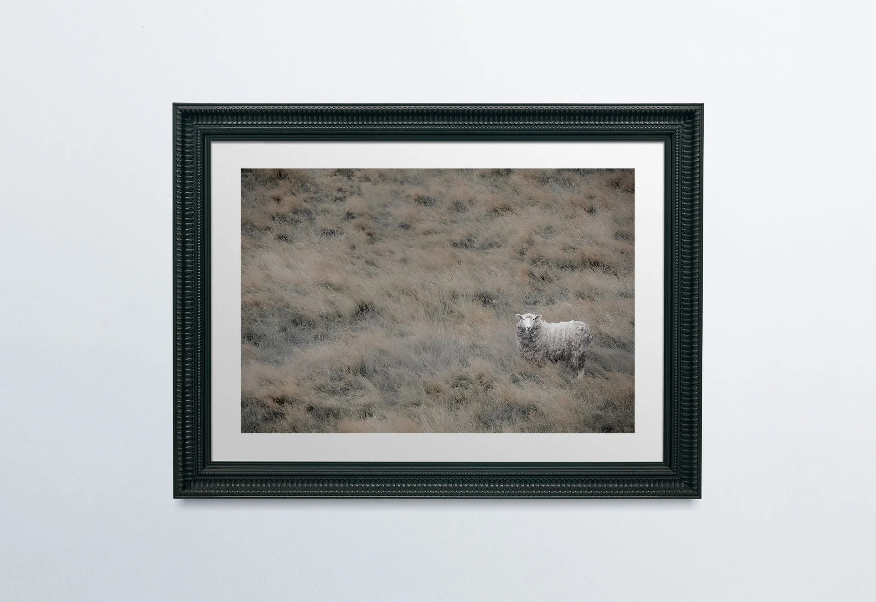 printcollectionmoorland-BlackFrame-PlainWall.jpg