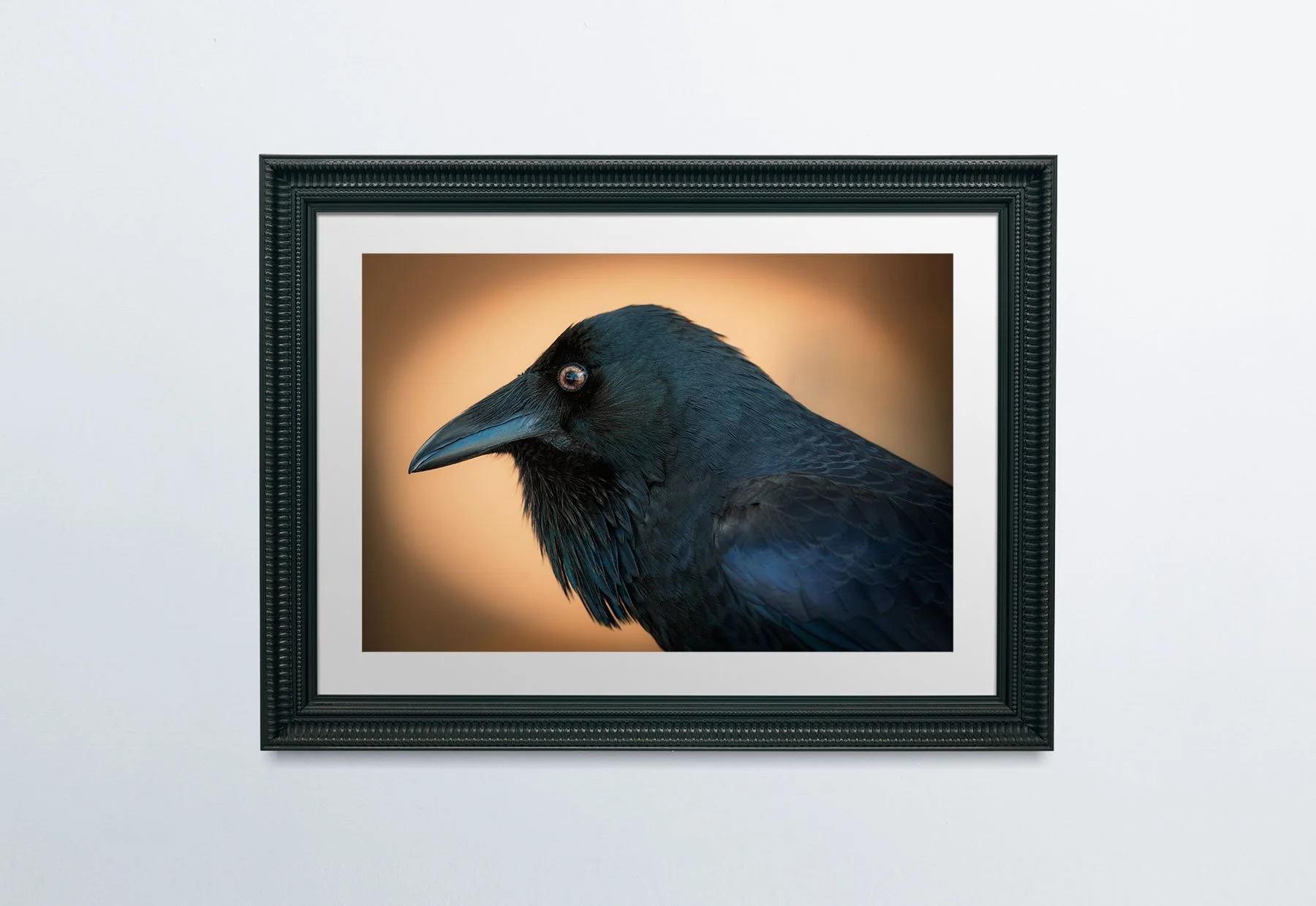 RavenBlackFrame-PlainWall.jpg