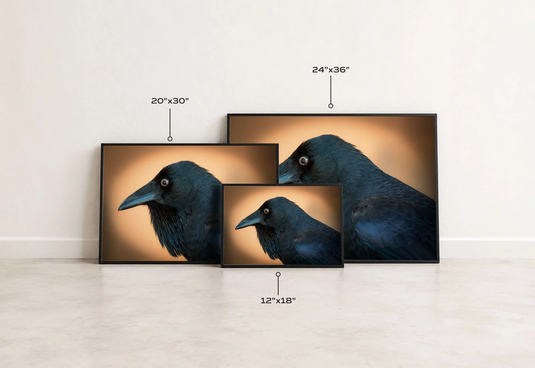 RavenSizeComparison-Mockup.jpg