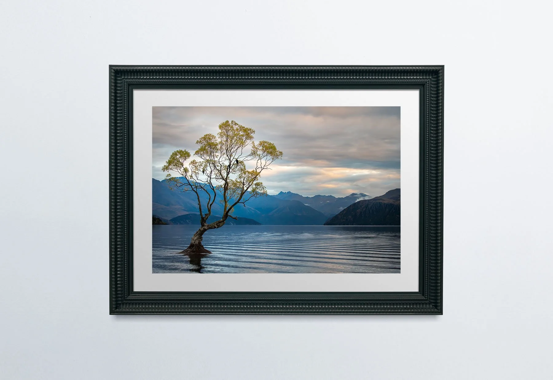 ListeningTreeBlackFrame-PlainWall.jpg