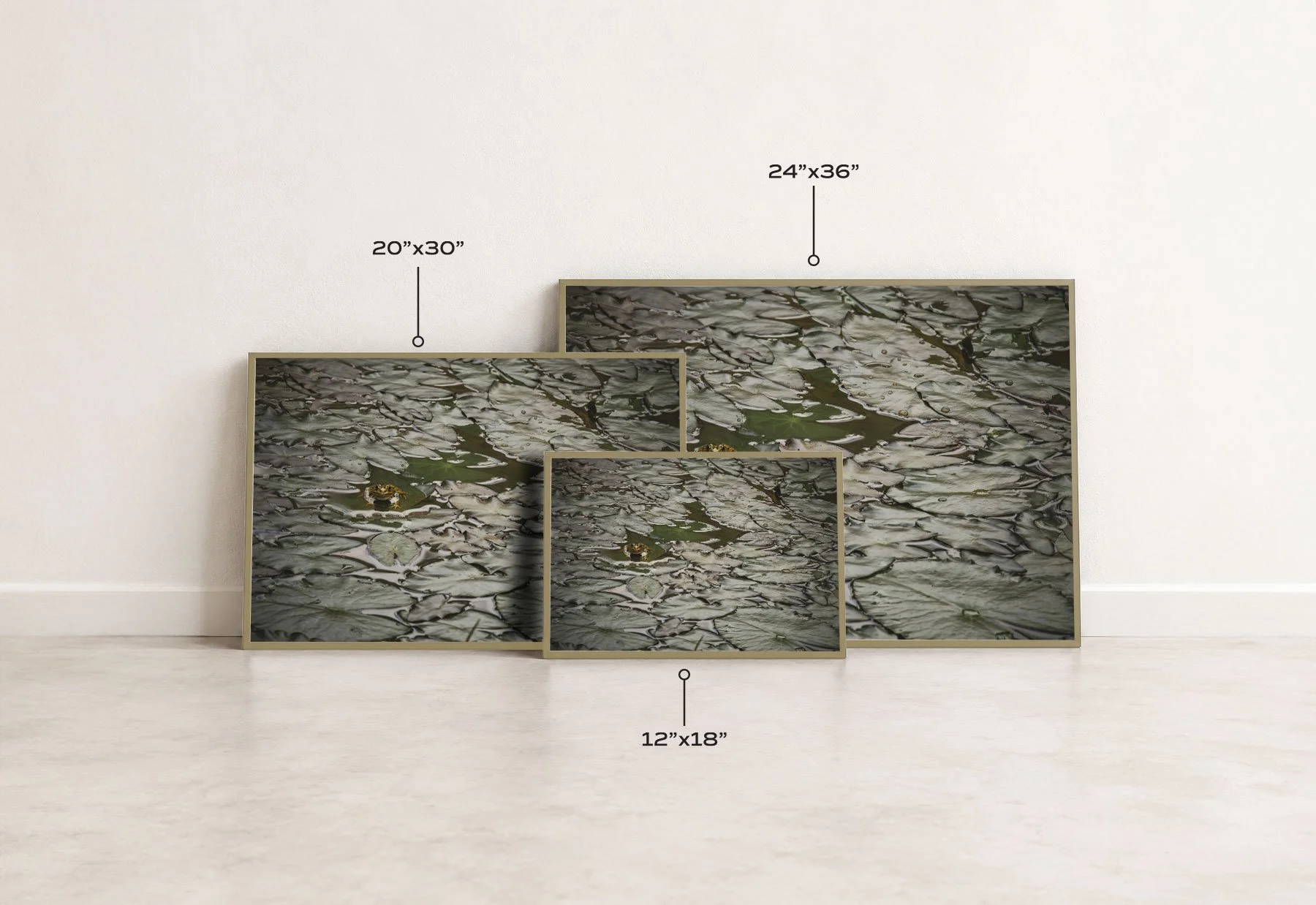 GreenSizeComparison-Mockup.jpg