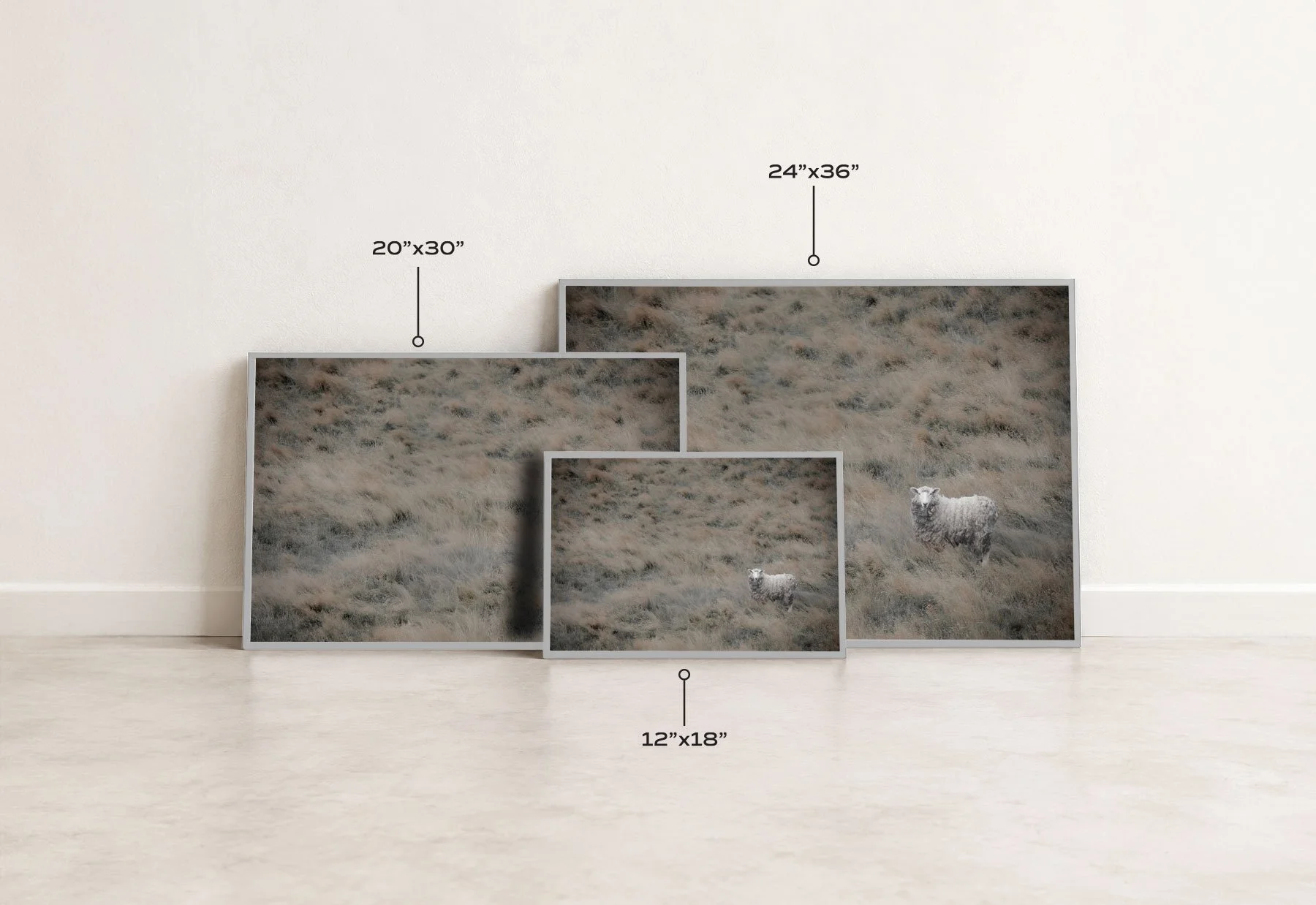 printcollectionmoorland-Sizing.jpg