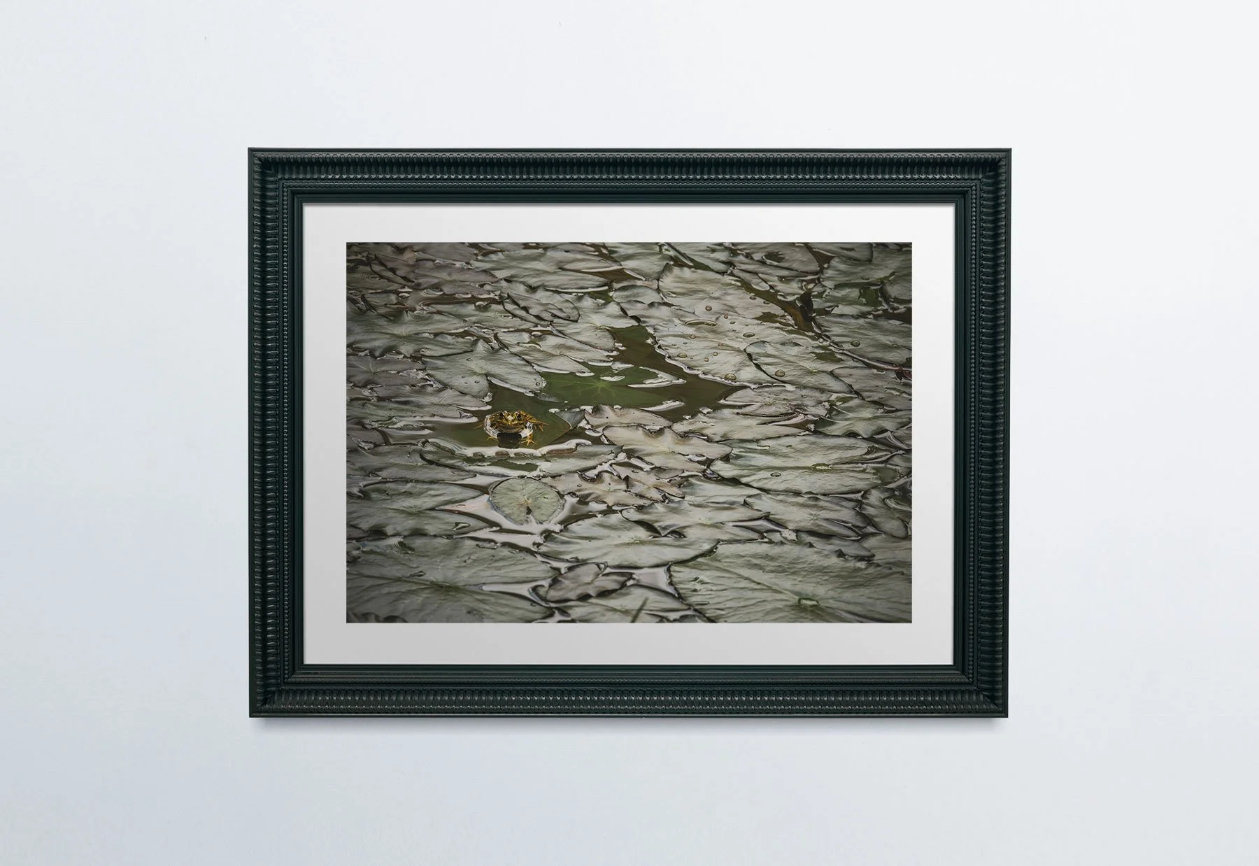 GreenBlackFrame-PlainWall.jpg