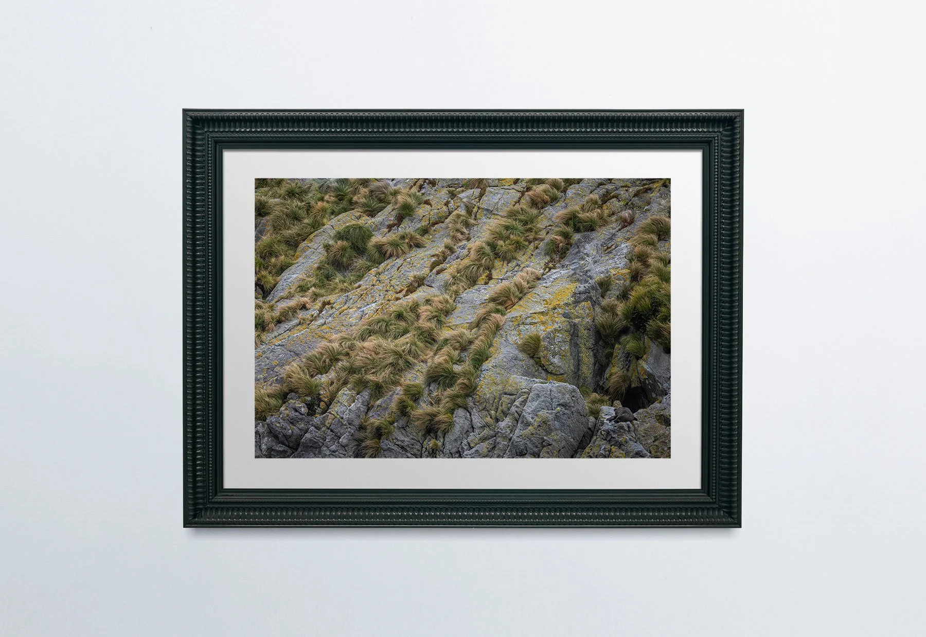 BlackFrame-PlainWall.jpg