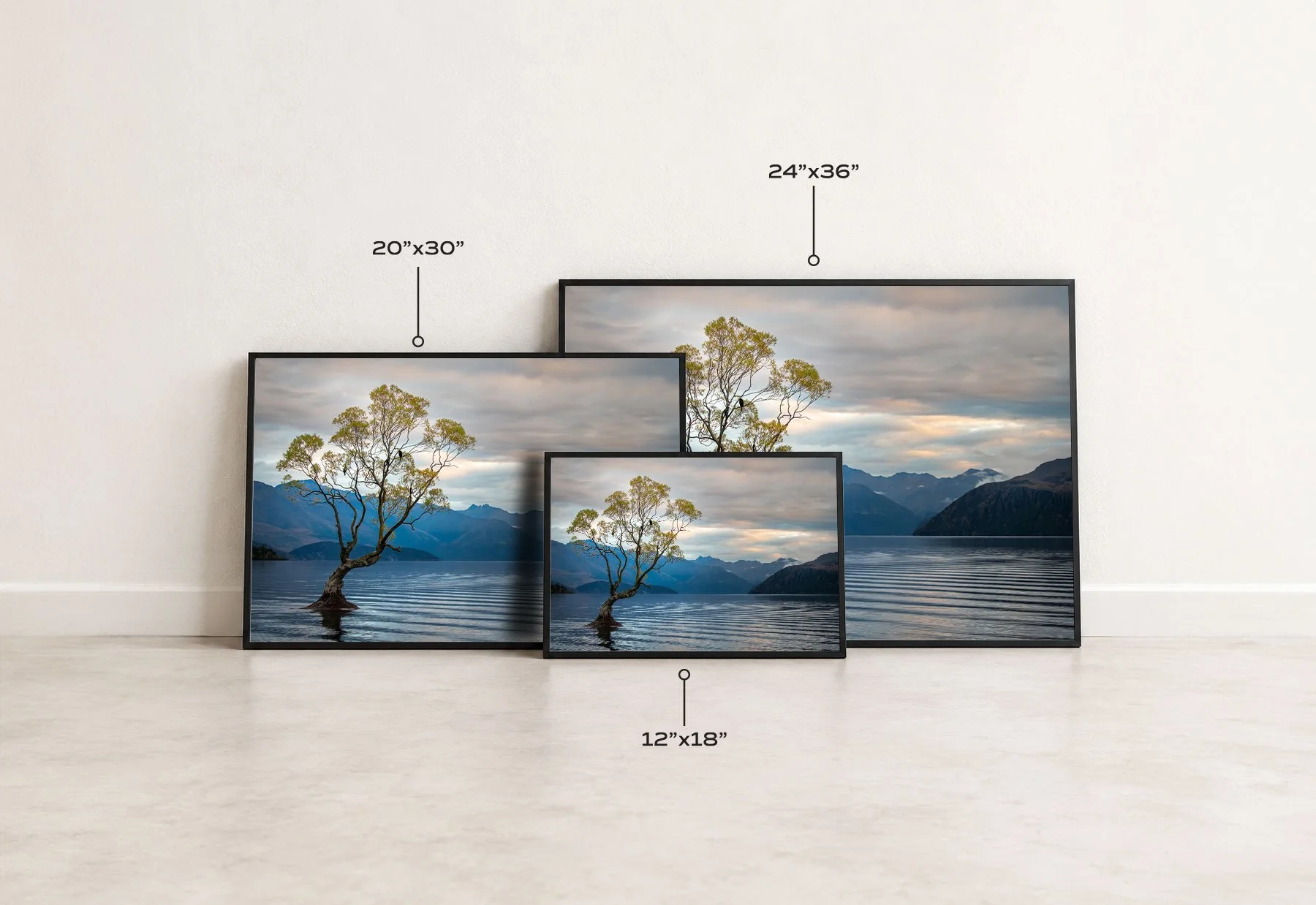 The Listening Tree