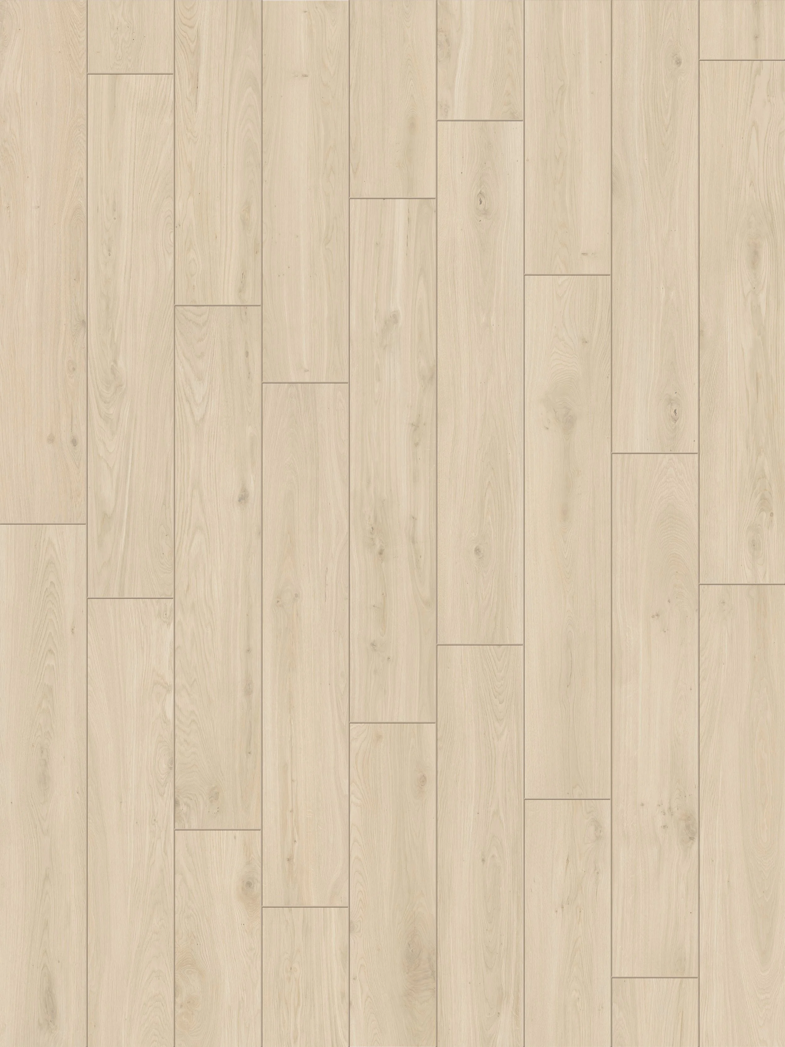 ELS_Avorio_pannello RGB.jpg