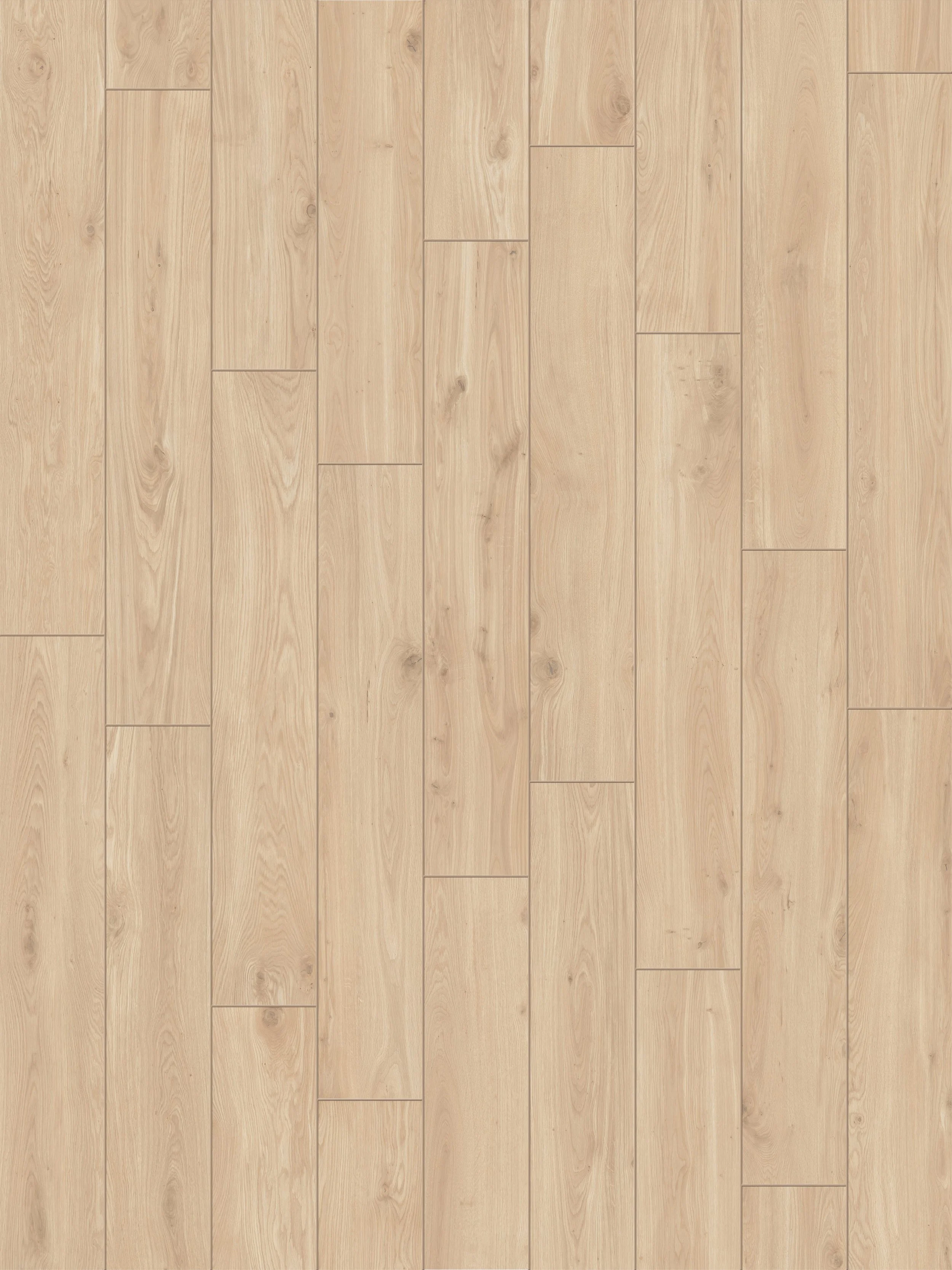 ELS_Beige_pannello RGB.jpg