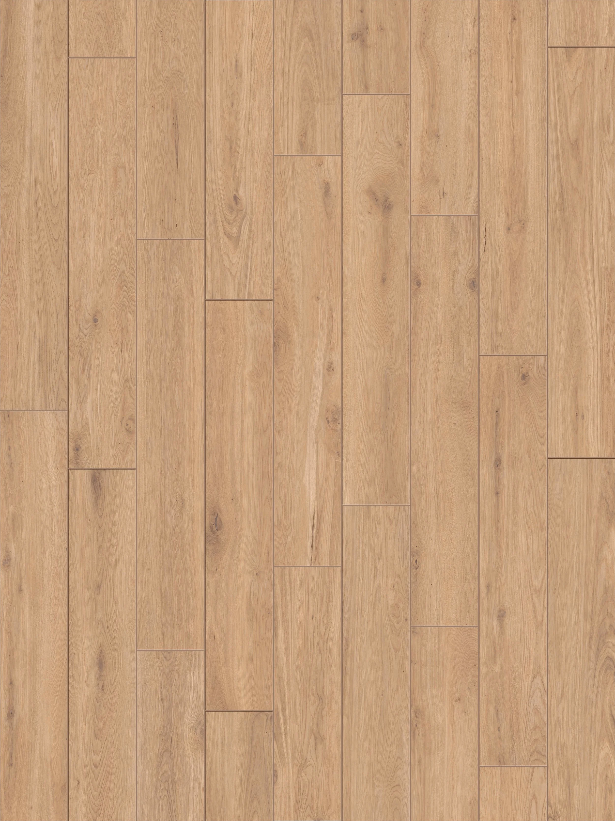 ELS_Dorato_pannello RGB.jpg