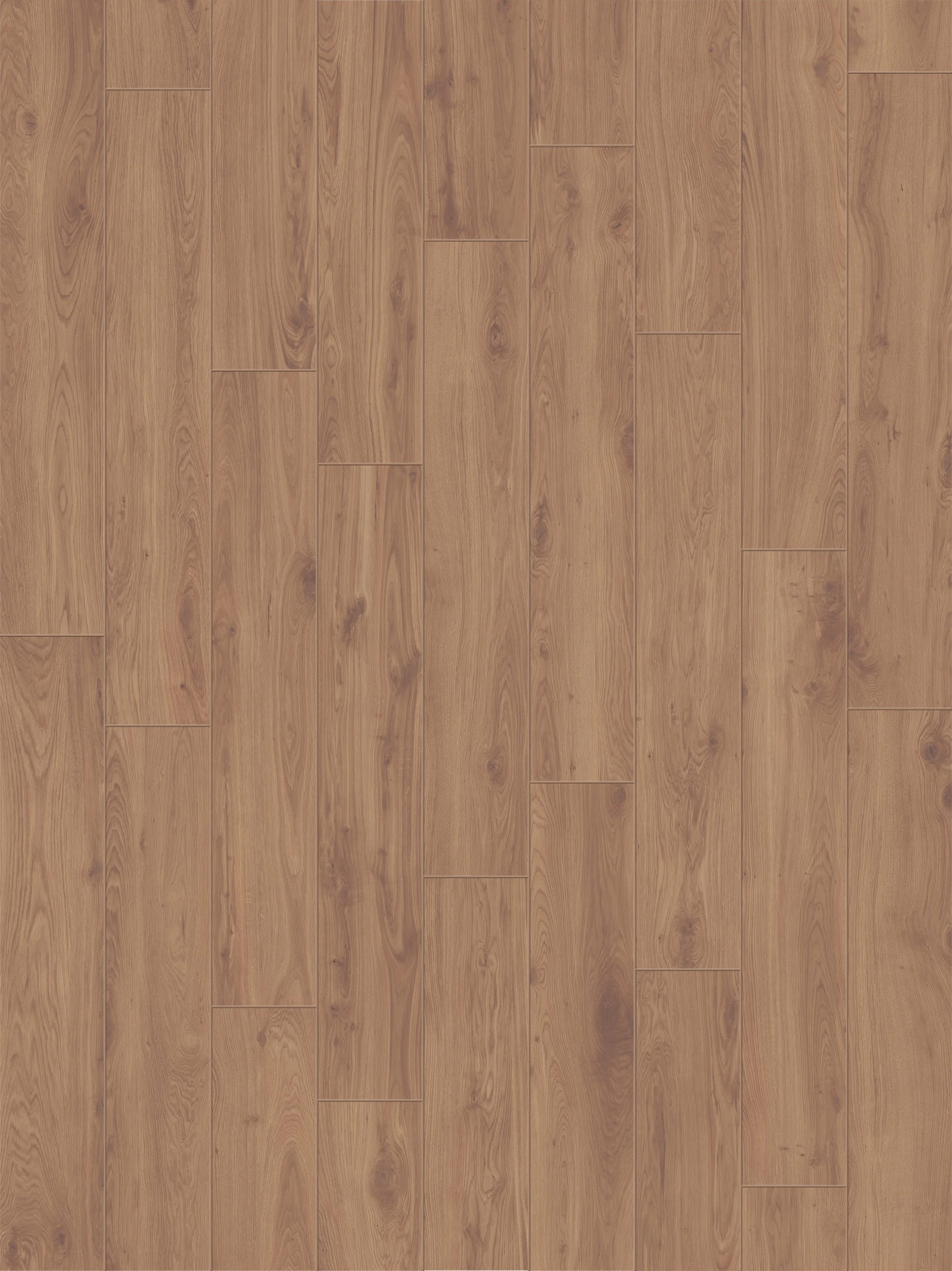 ELS_Bruno_pannello RGB.jpg