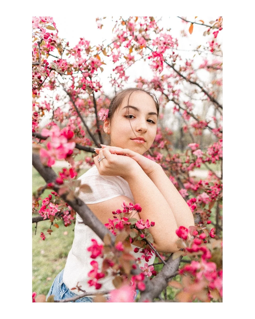 A young woman posing amongst pink blossoming cherry trees outdoors.