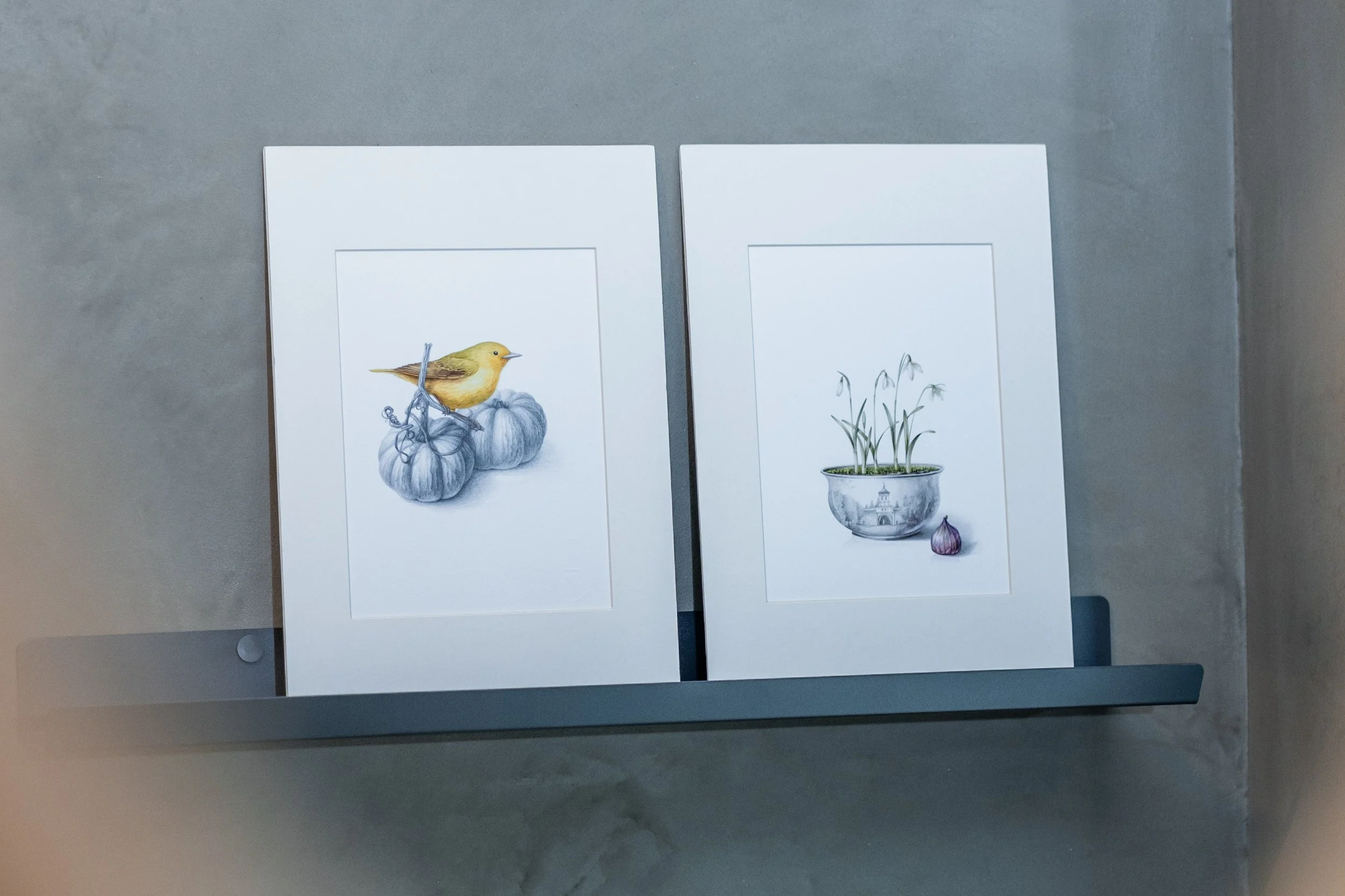Two framed botanical illustrations on a gray wall, with a shelf underneath. The left illustration depicts a yellow bird perched on gray pumpkins. The right illustration shows a pot with green plants and a garlic bulb beside it.