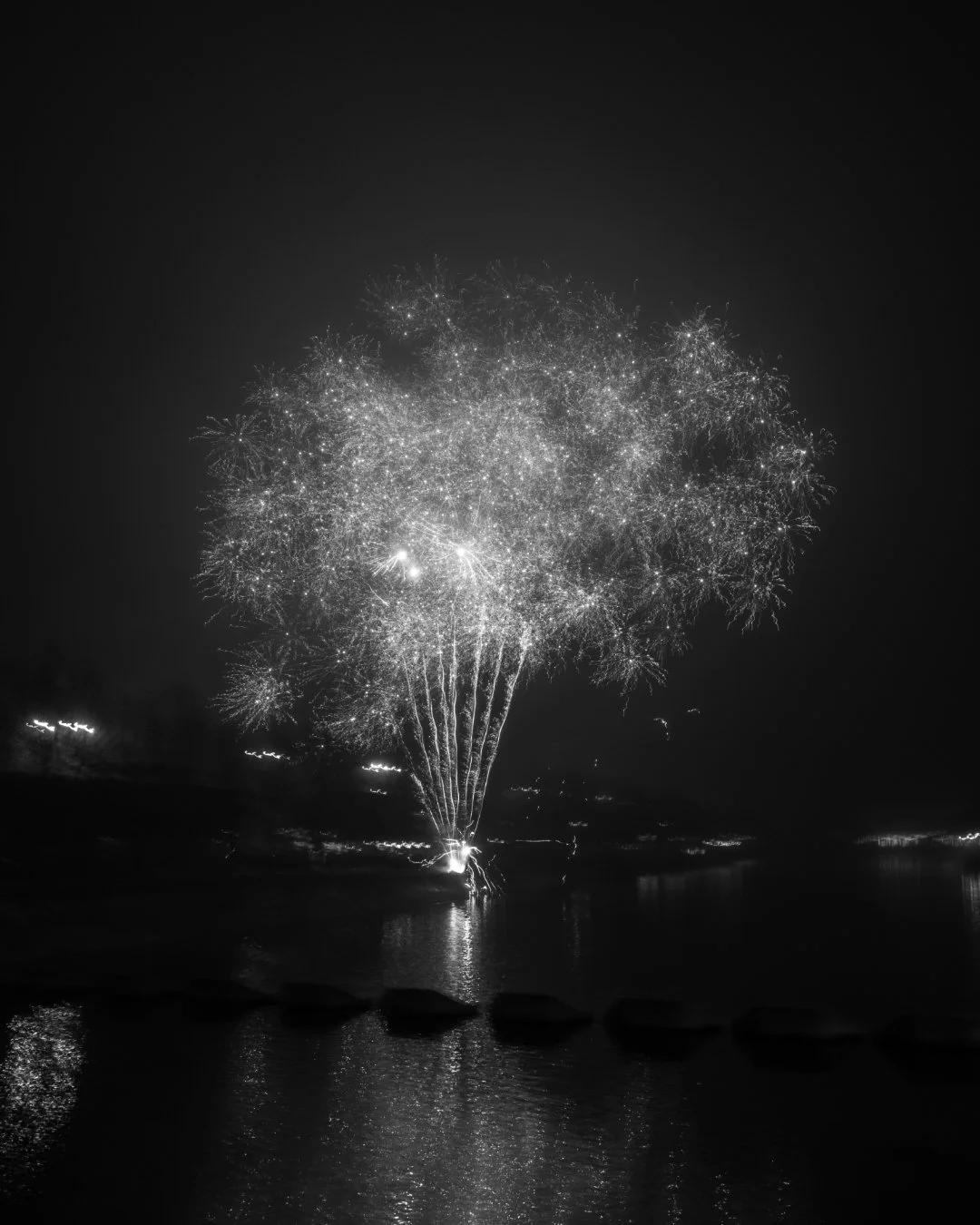 Fireworks illuminating the night sky over water.