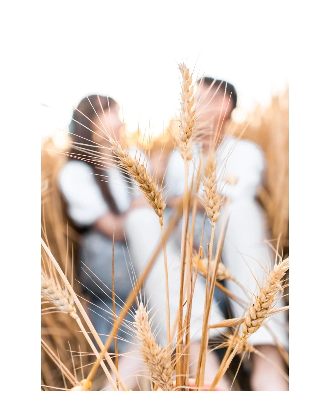 Close-up of wheat stalks in a field with two blurred women in the background.