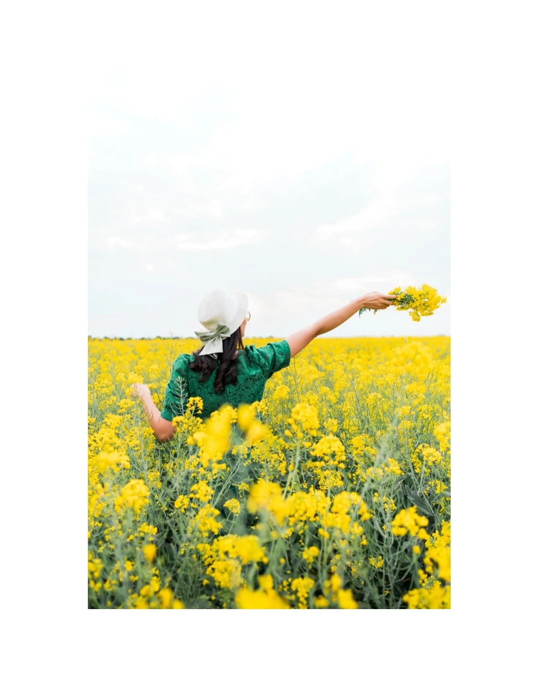 A woman in a green dress and white hat with a bow holds a bouquet of yellow flowers in a yellow flower field, facing away from the camera, stretching her arm out.