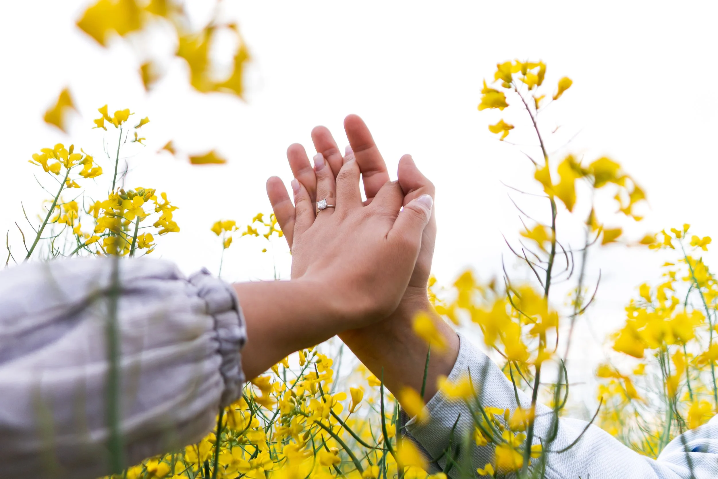 Two people holding hands among yellow wildflowers in a field, with the sky in the background.