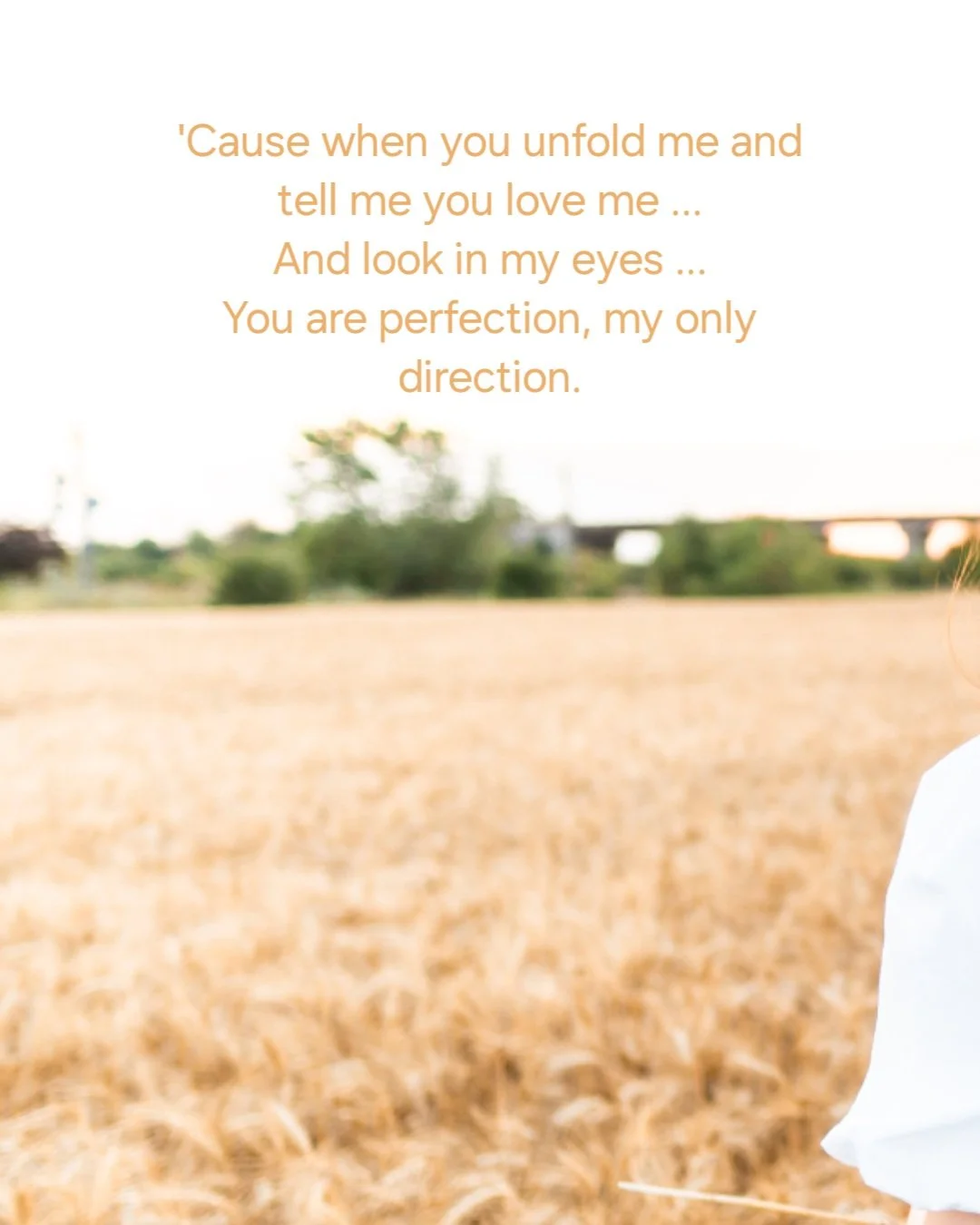 A quote about love over a blurred field background with trees and a bridge in the distance.