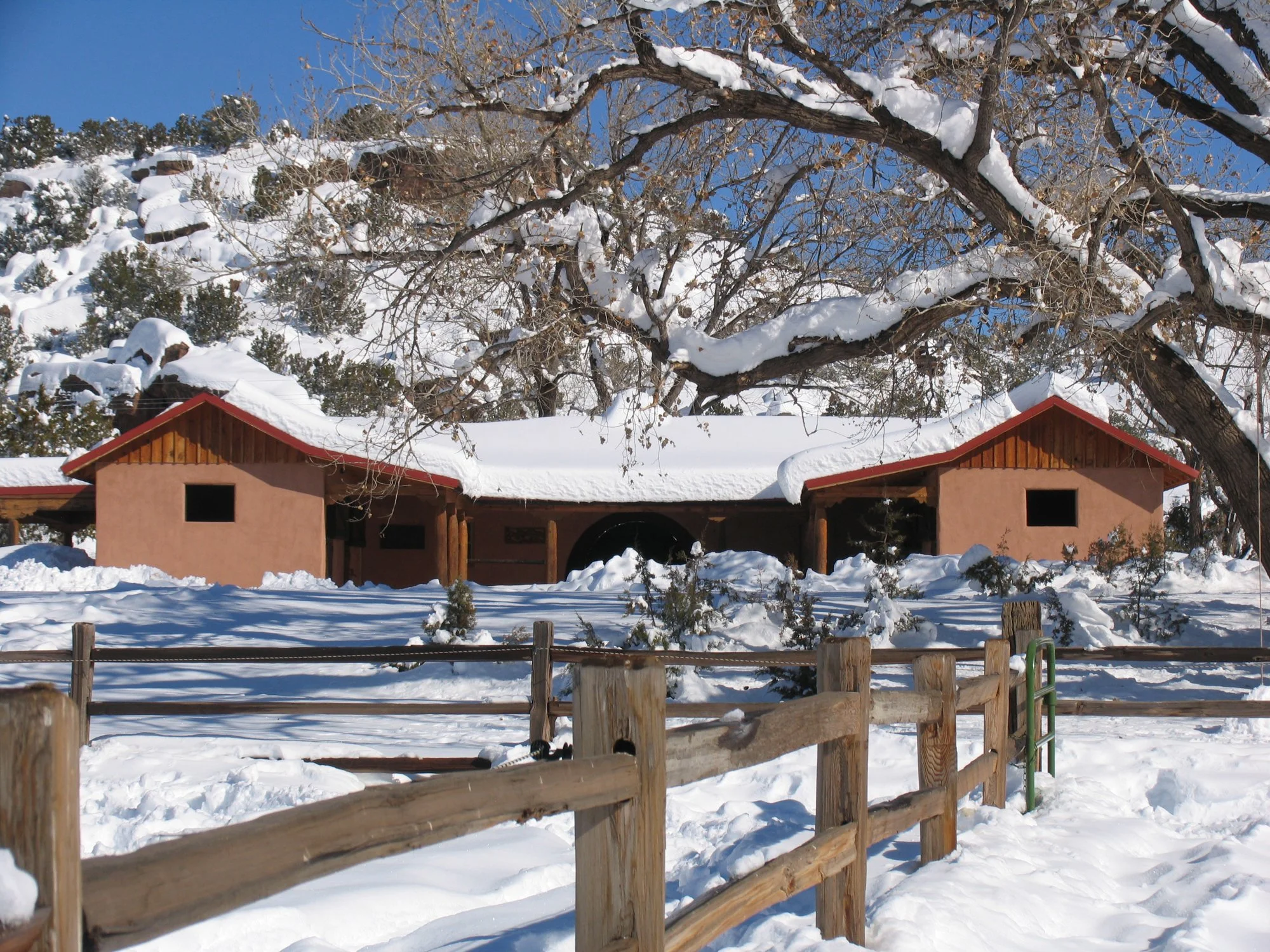 Ganeden Freedom Farm 05.jpg