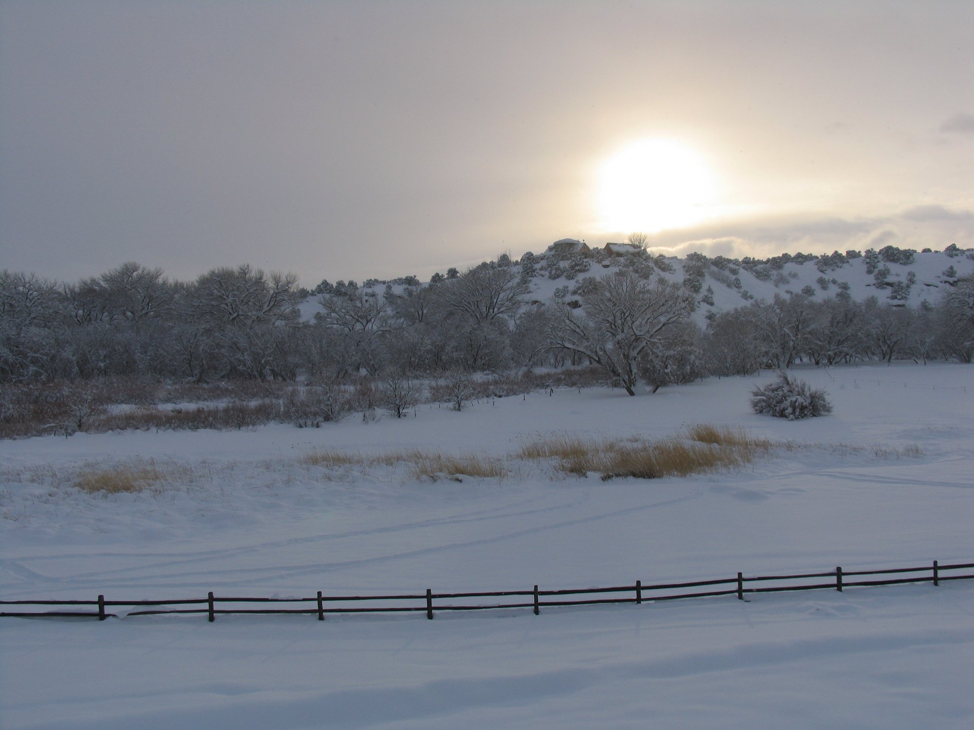 Ganeden Freedom Farm 03.jpg