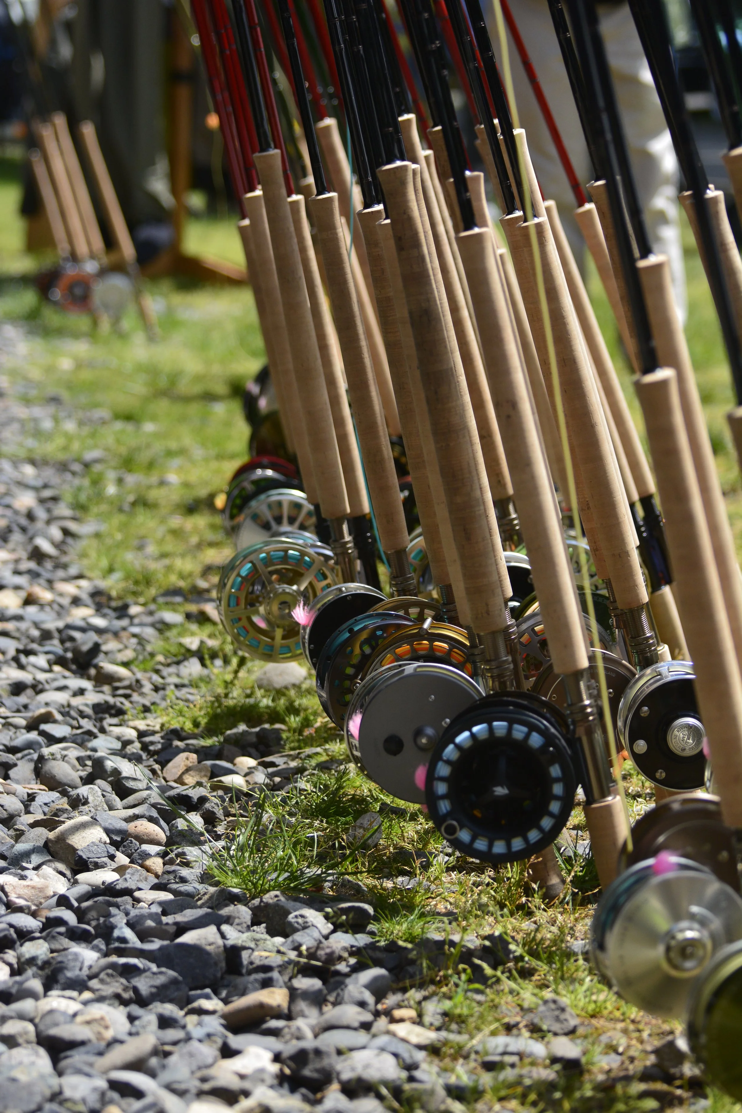 Row of fishing rods with reels lined up on a grassy and rocky surface outdoors.