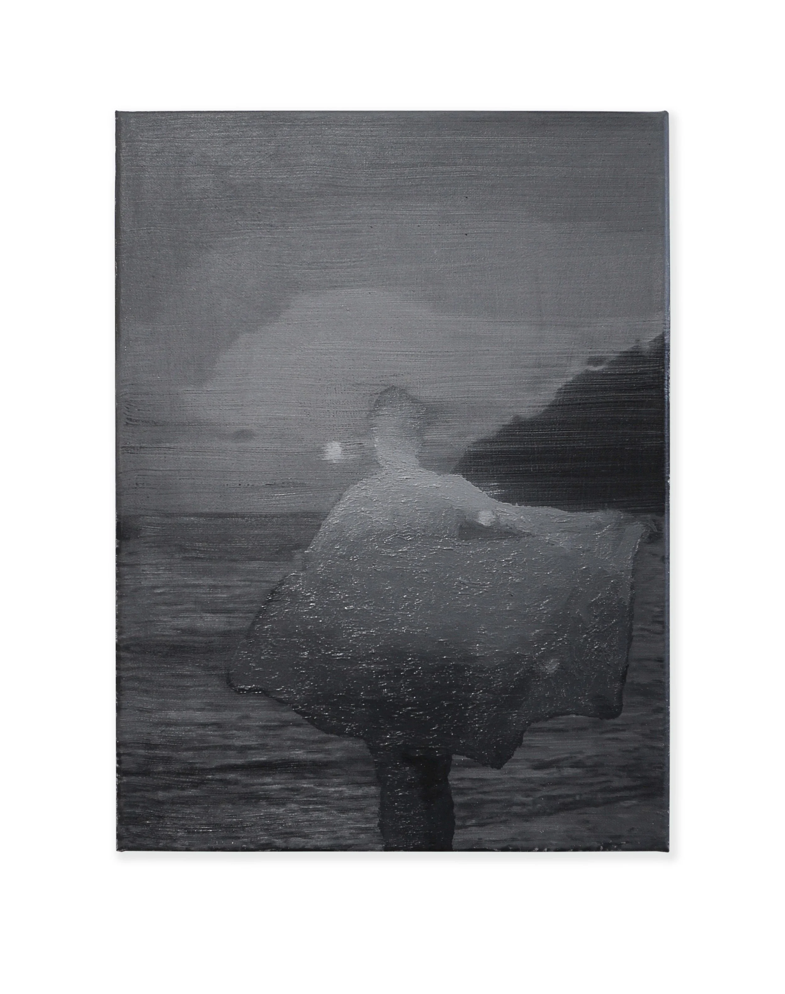 Sfuggente. Olio su tela, 40 x 30 cm