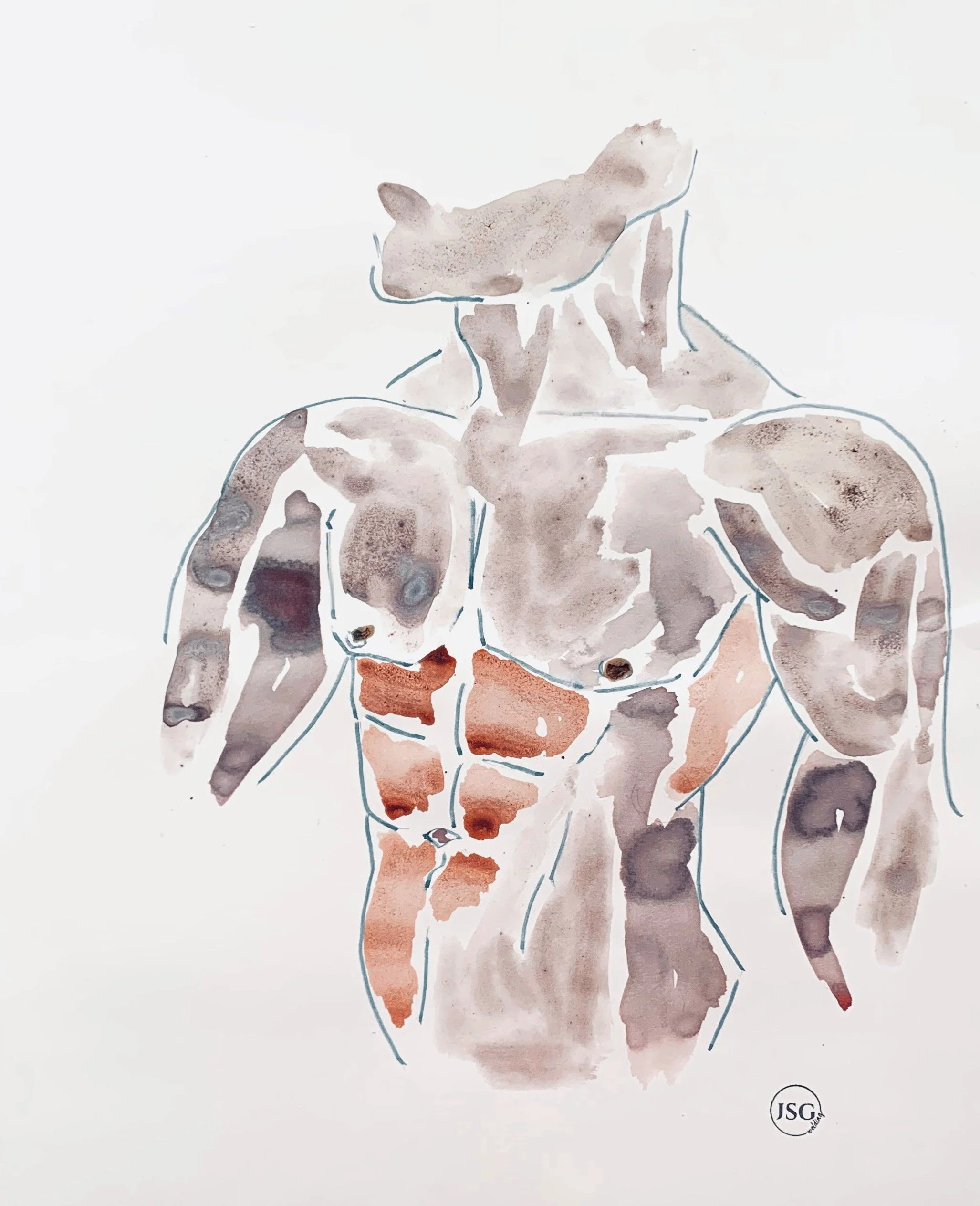 Watercolor painting of a muscular human back and arms in a flexed pose.