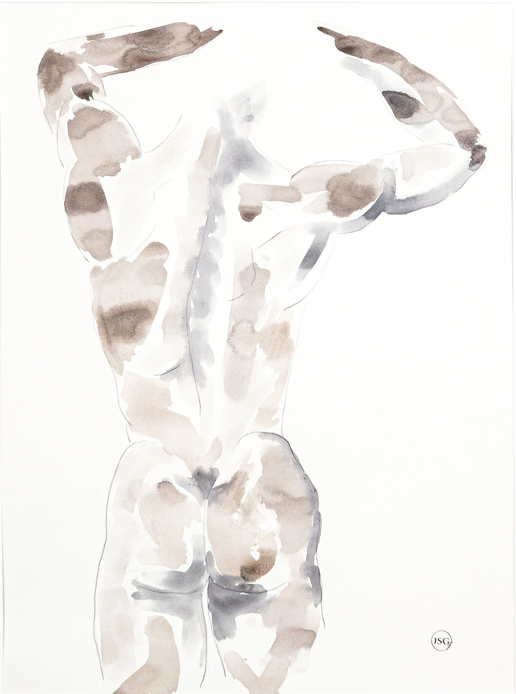 Watercolor painting of a muscular human back and arms in a flexed pose.