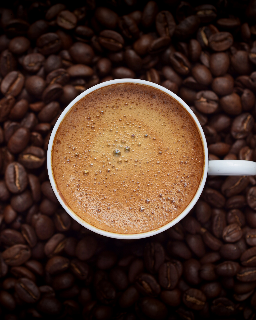 Brindle - Dark Roast