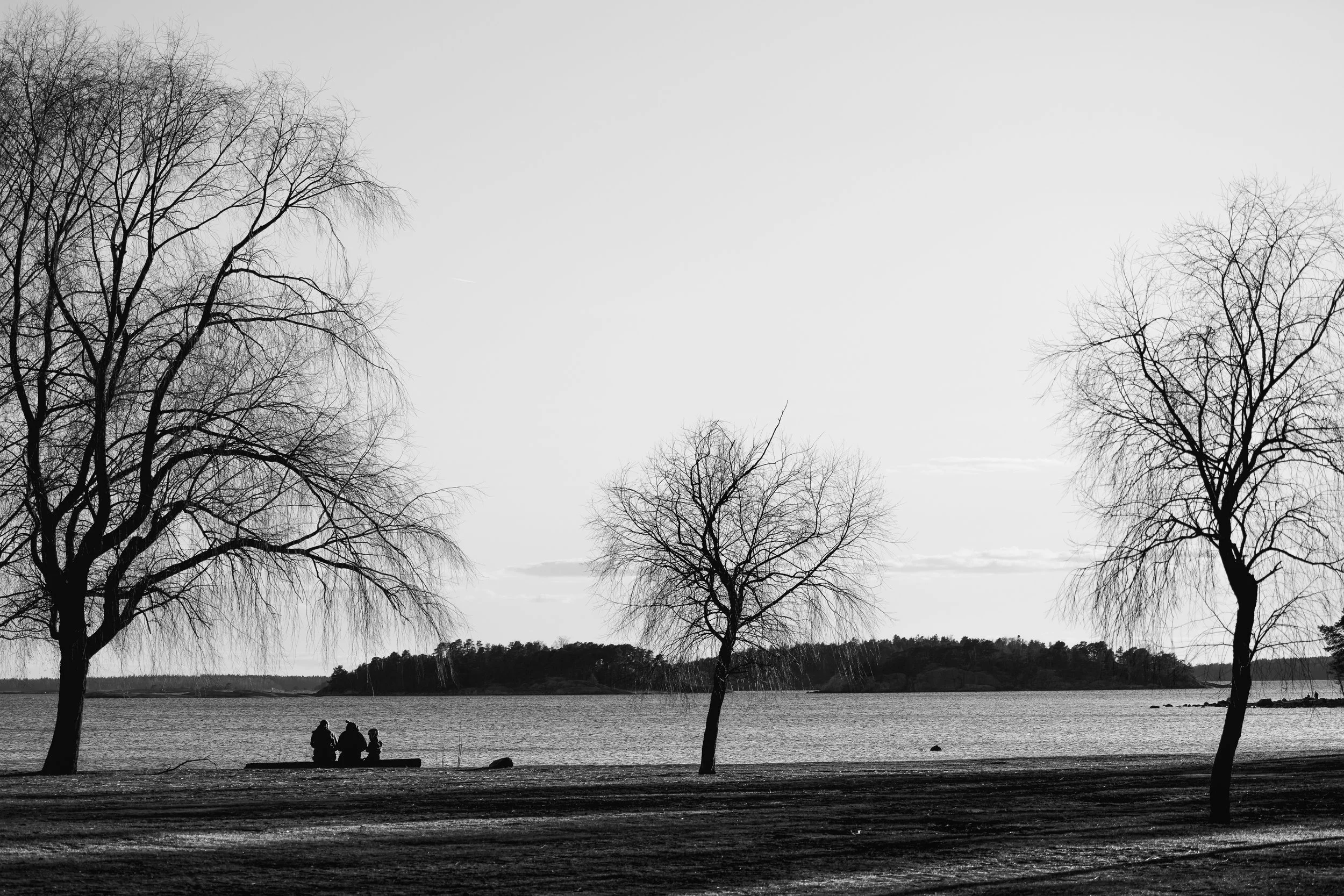Canva 1 -1.jpg
