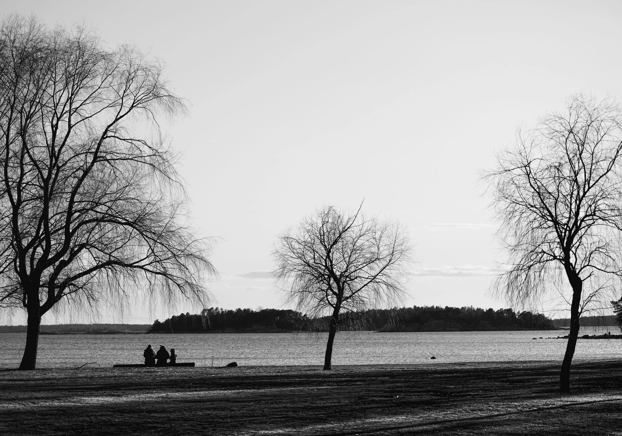 “The Listeners”
Gathered beneath open sky, they sit with the sea. 

