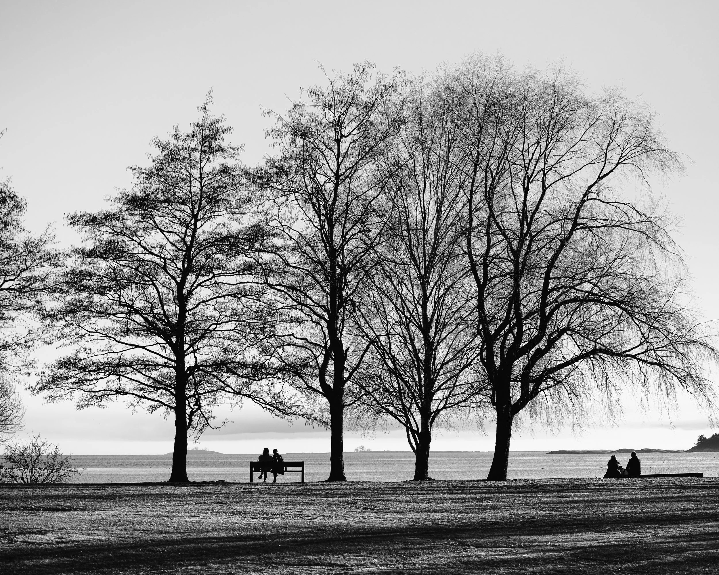 Canva 10-1.jpg