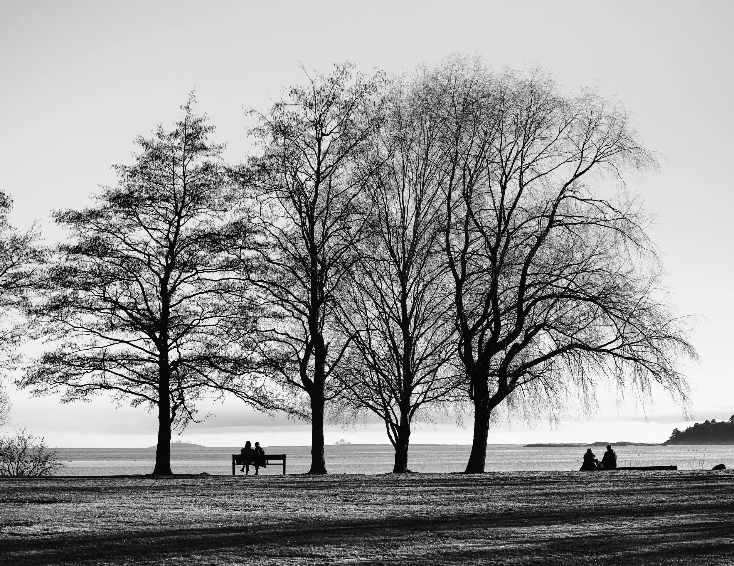 "the Four Sentinels" 
Guarding the edge of horizon and sea. 