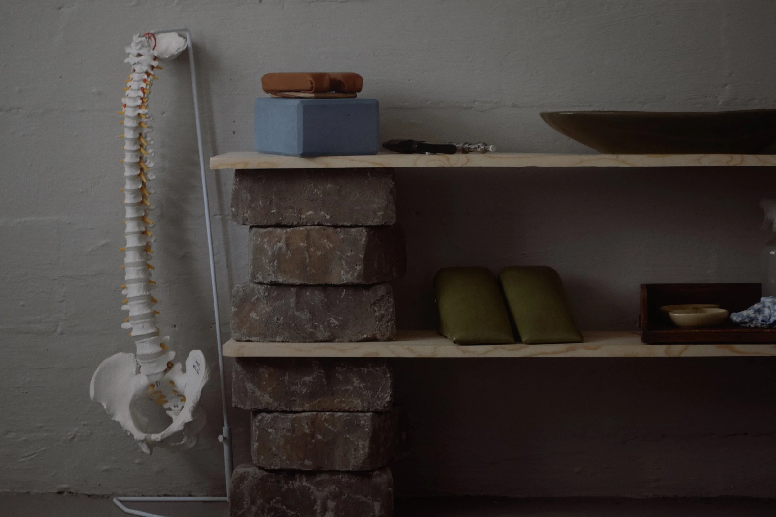 Check back for upcoming events!