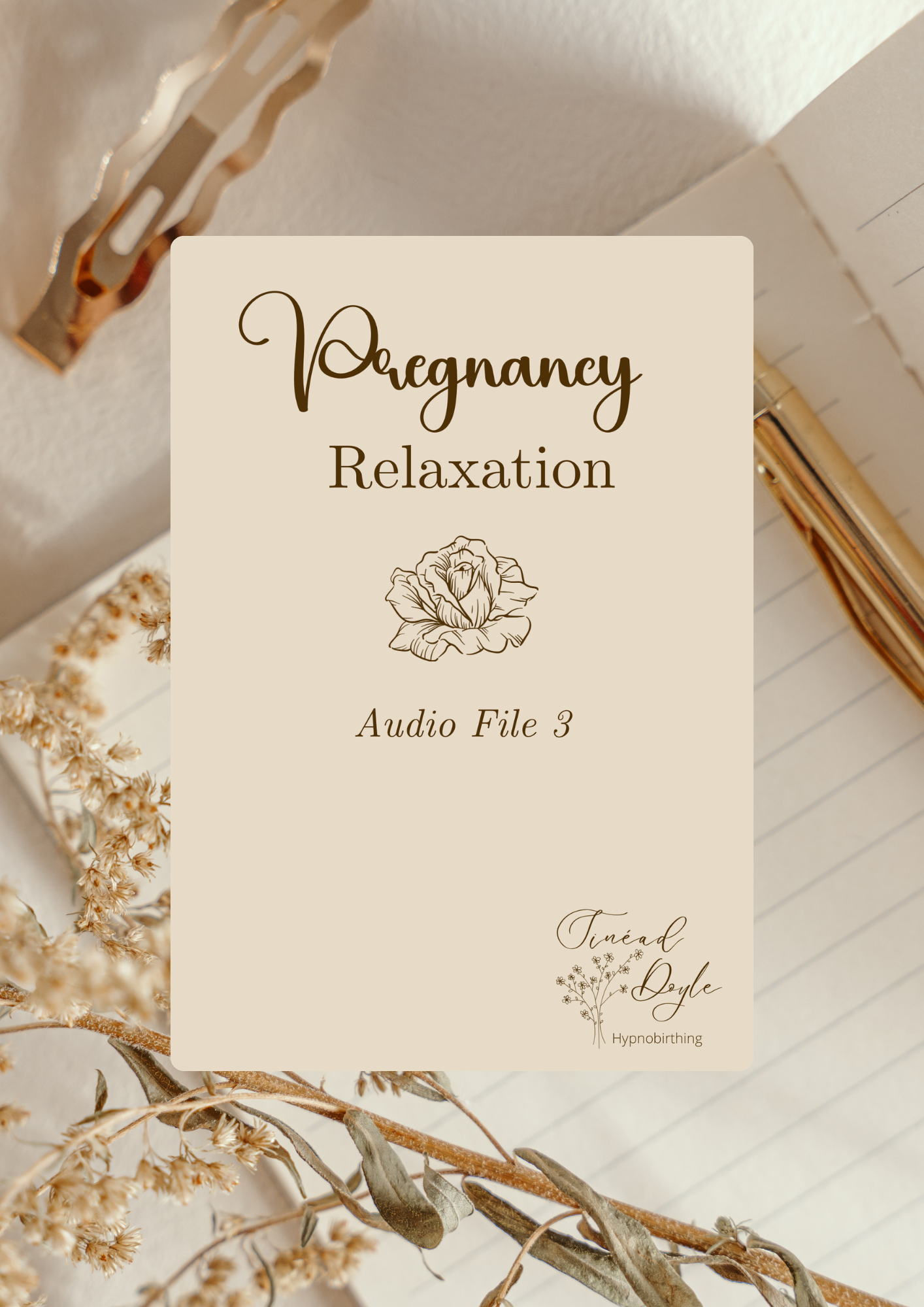 A cover for a pregnancy relaxation audio named 'Pregnancy Relaxation, Audio File 3' by Tinead Doyle, depicting dried flowers, a notebook, and a pen in a warm tone setting.
