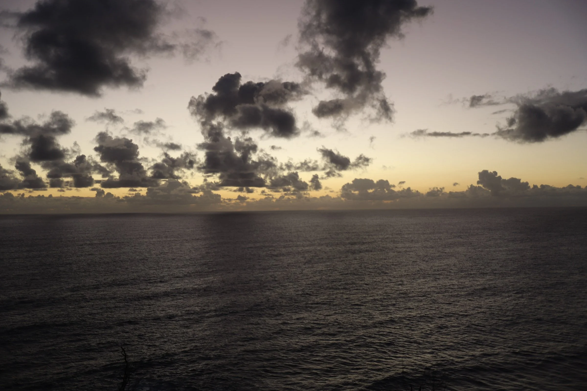 51-IMG_1880.jpg