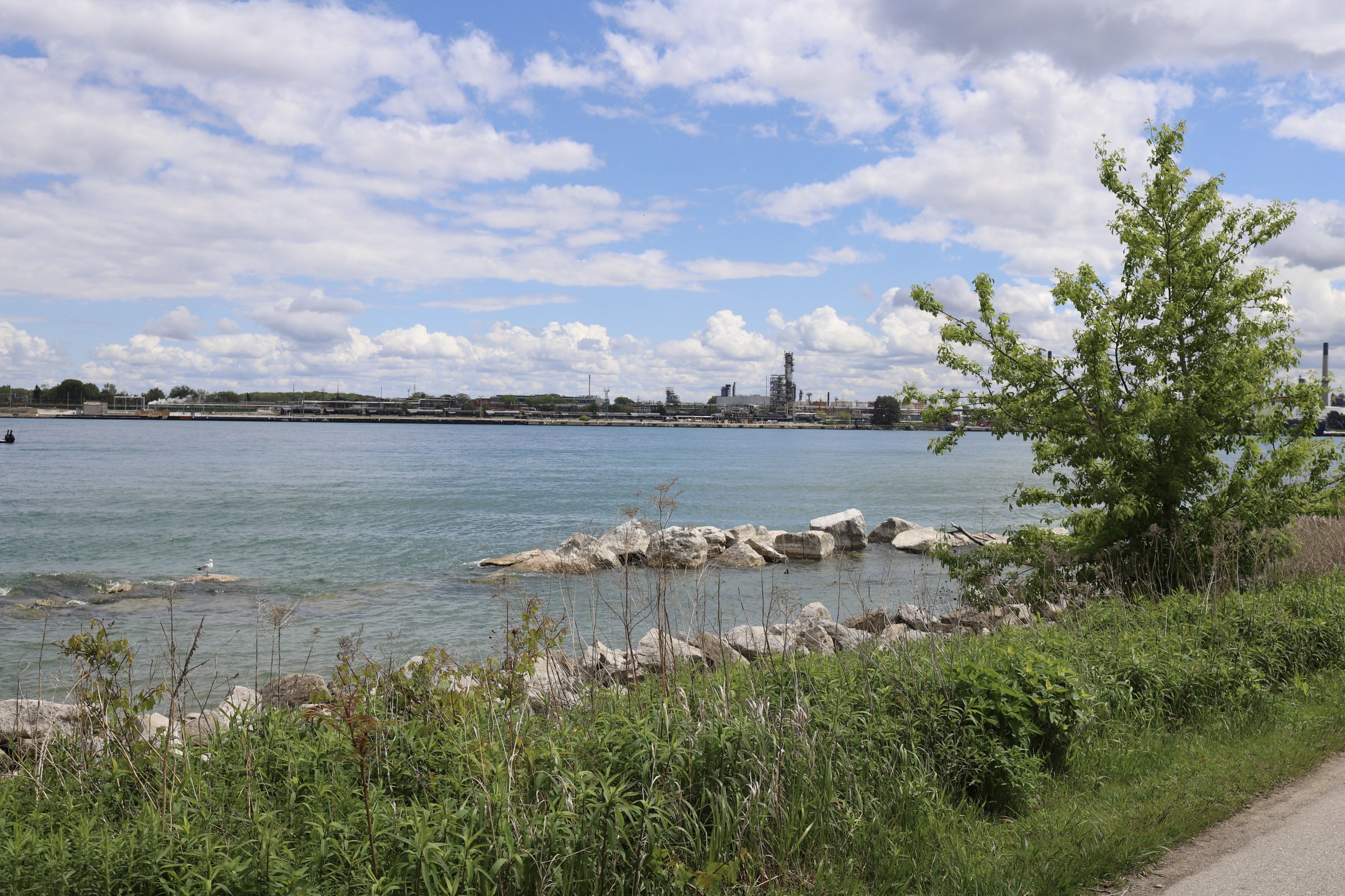 93-IMG_9798.jpg