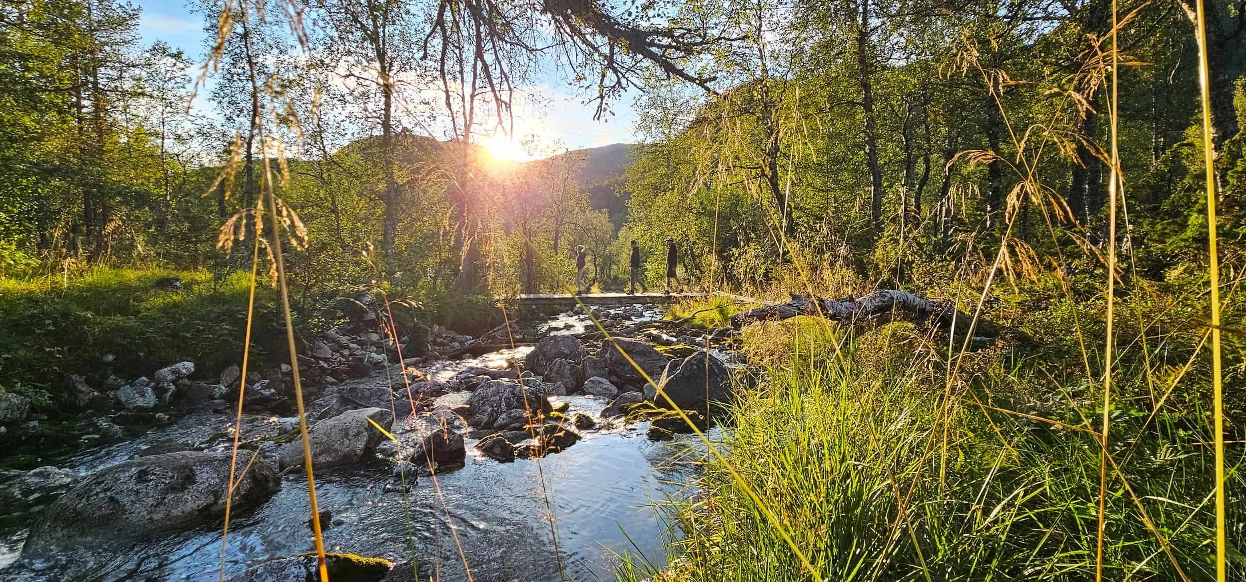 Three people walking on a bridge over a rocky stream in a lush green forest during sunset.