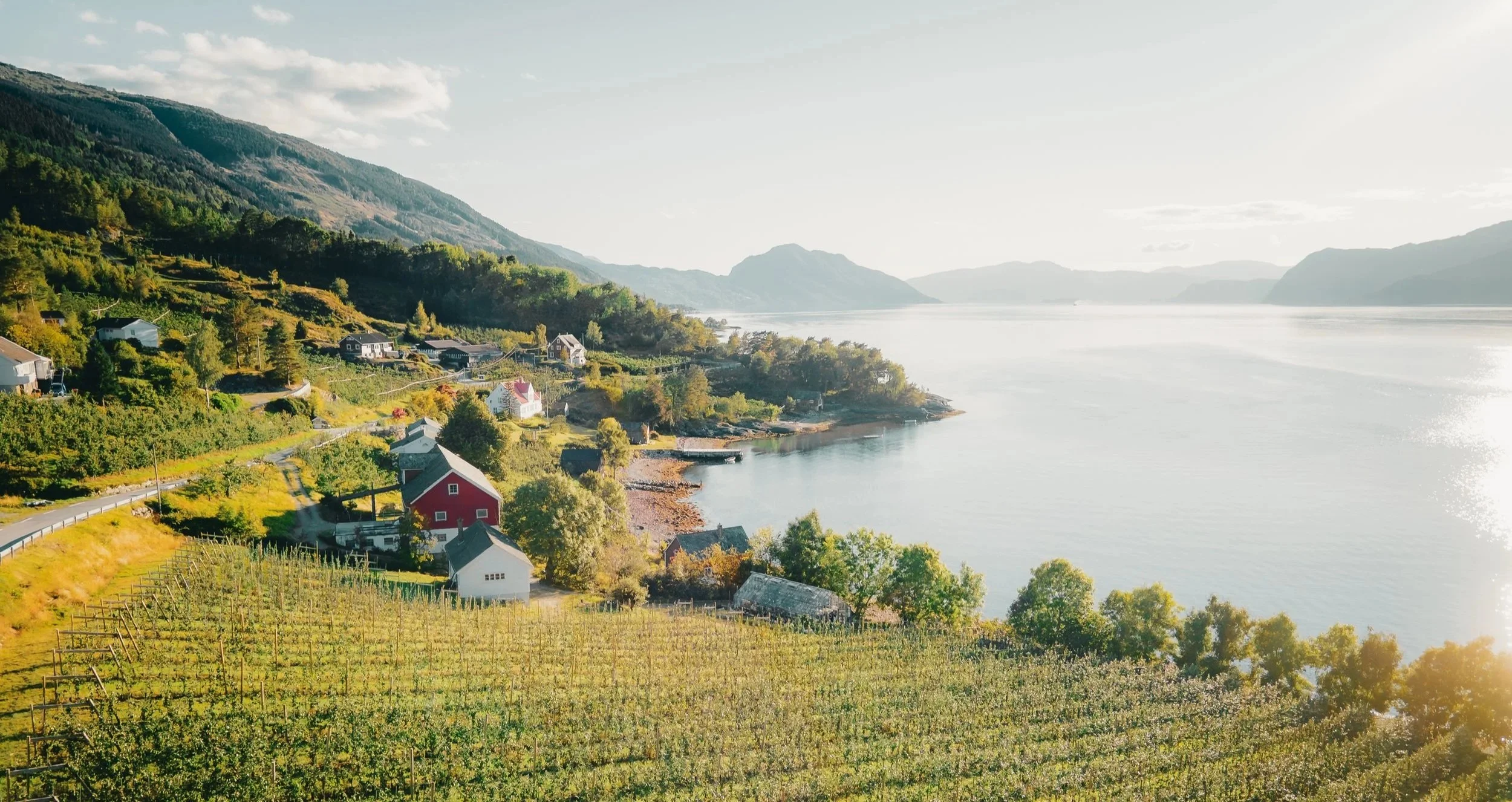 A scenic landscape of a small coastal village with colorful houses, surrounded by green hills and vineyards, beside a calm body of water with mountains in the distance under a partly cloudy sky.
