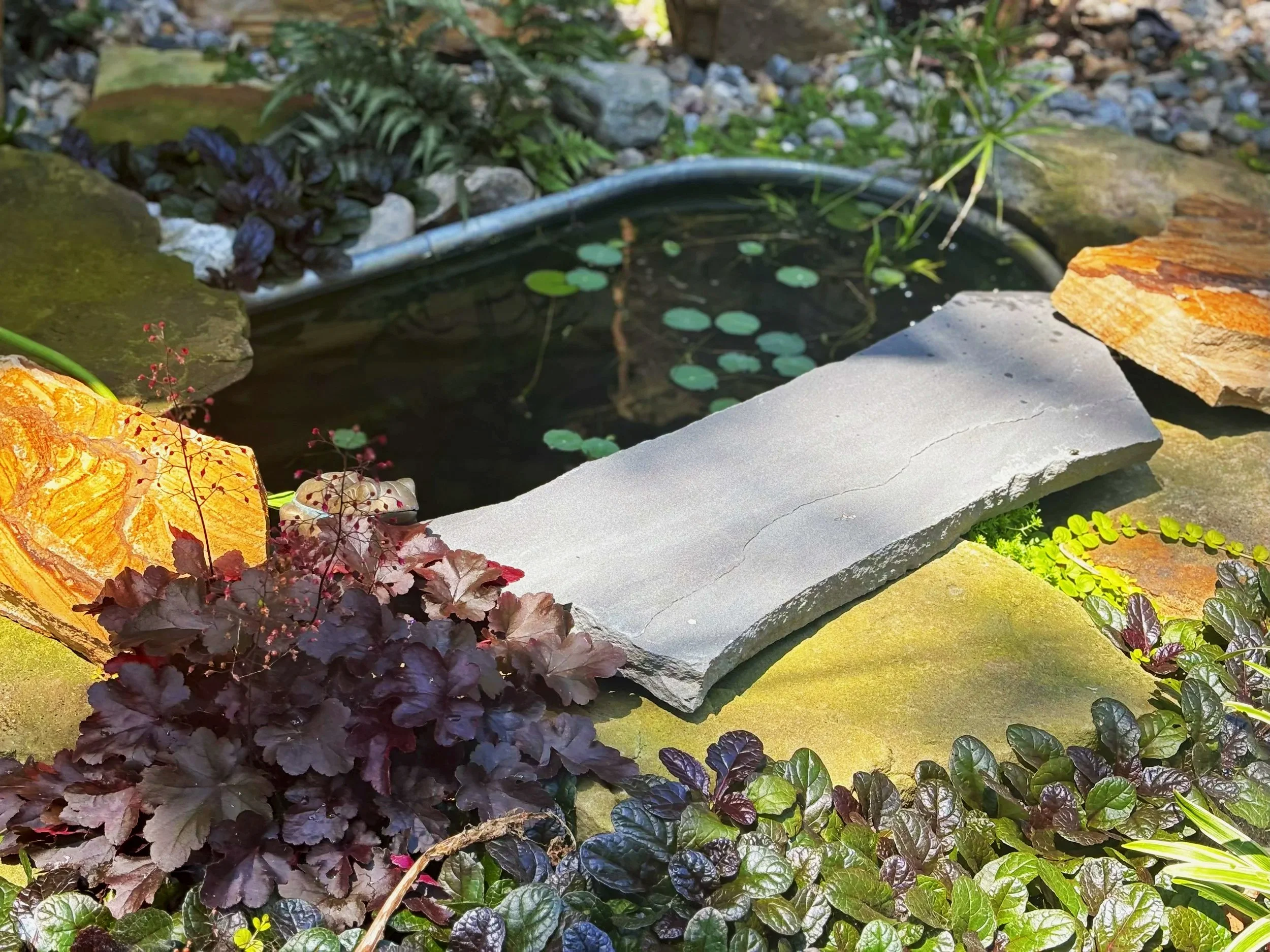 Close-up of a garden pond surrounded by rocks, plants, and foliage, with a flat stone in the foreground.
