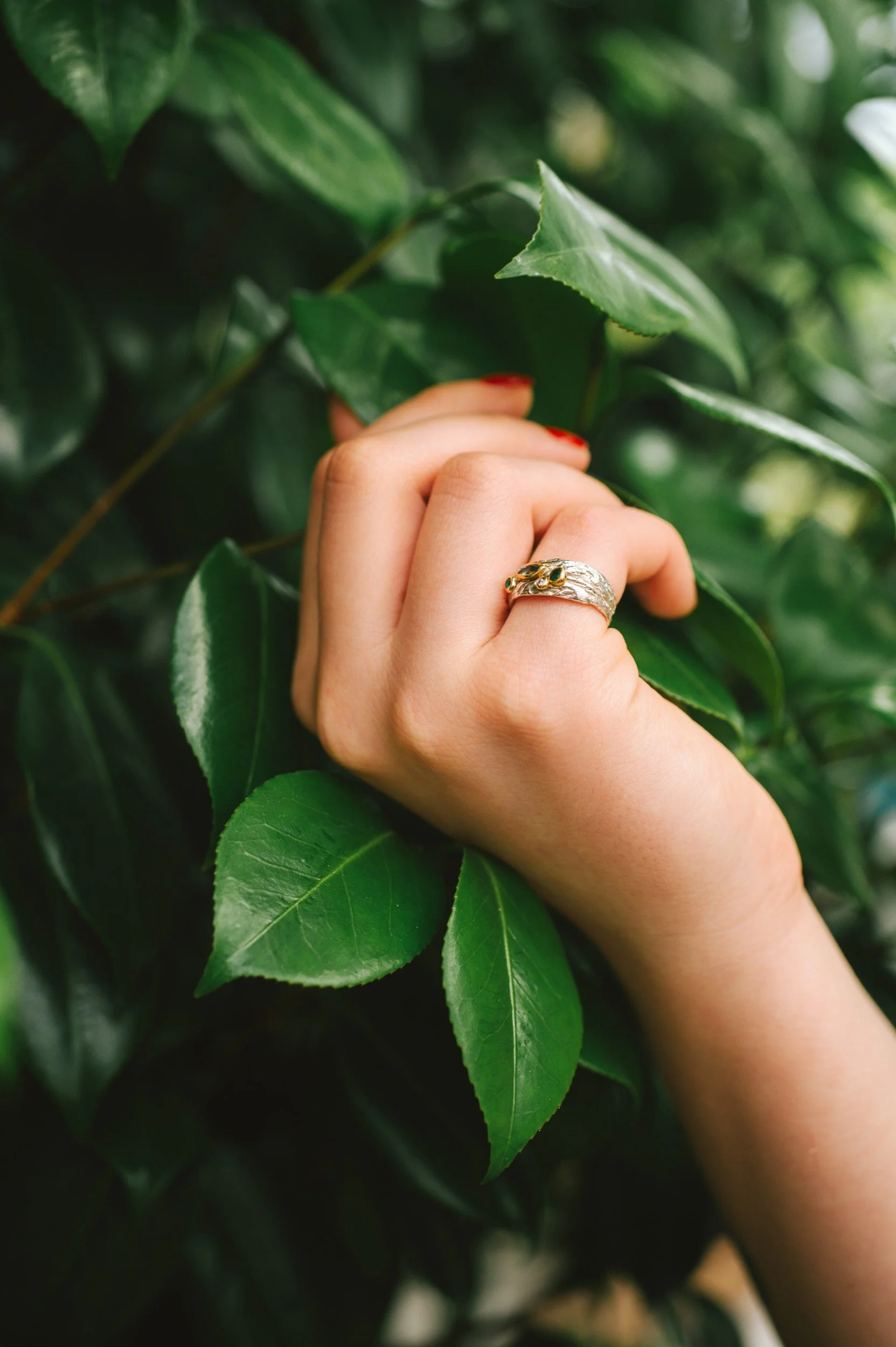 A hand with red-painted nails and a silver organic ring holding green leaves from a plant.