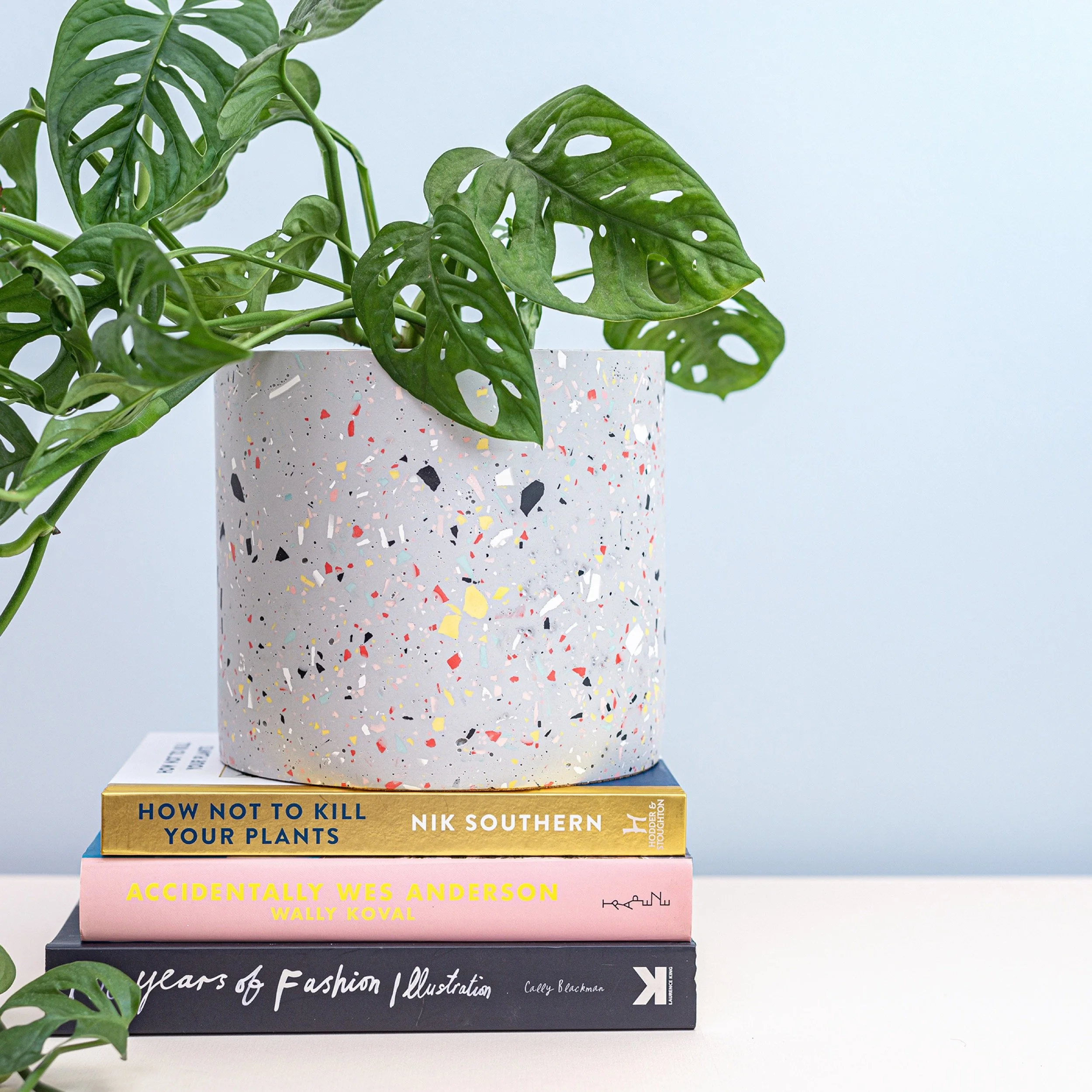 A potted Monstera plant with large green variegated leaves in a terrazzo-patterned pot, placed on top of a stack of books.