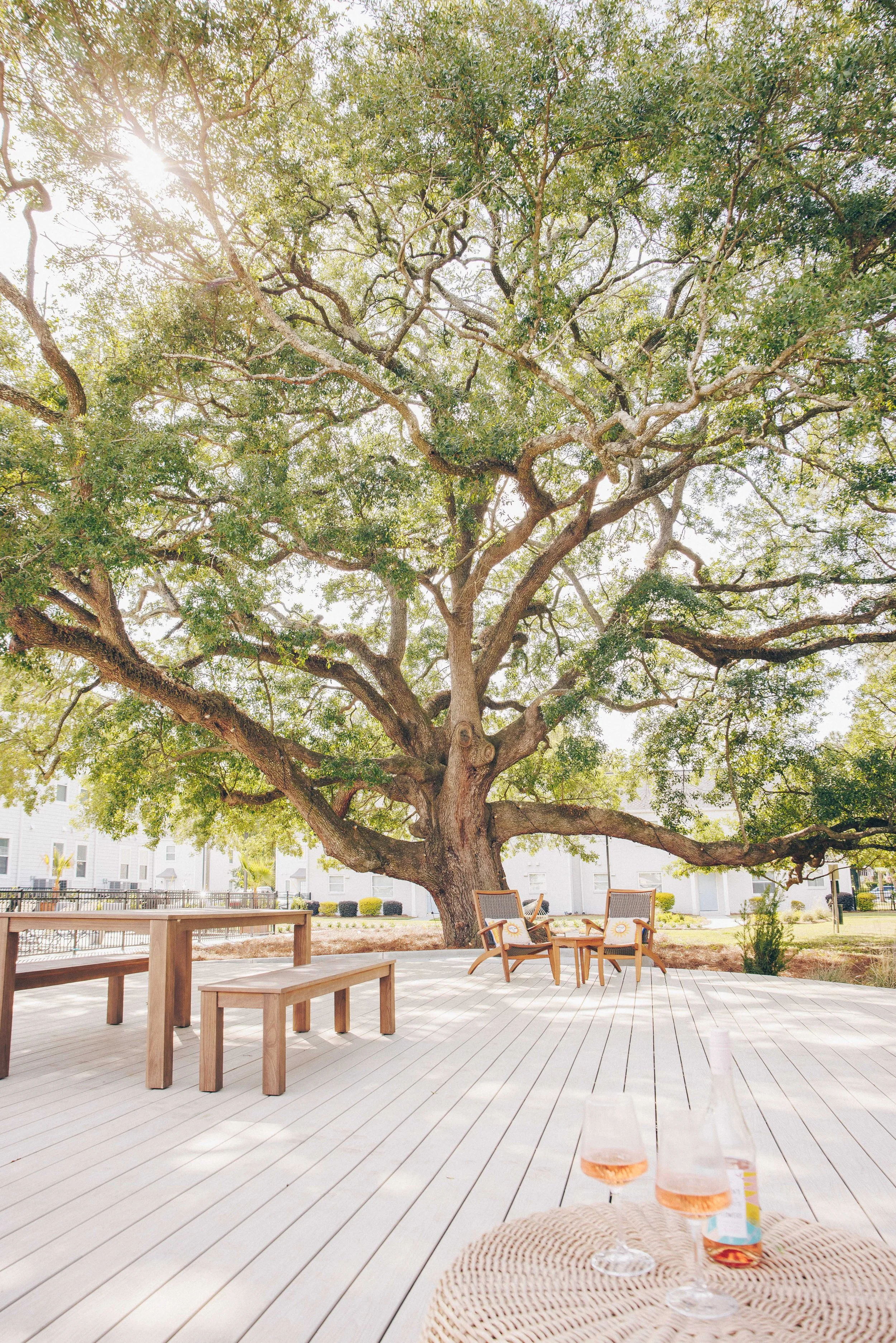 Curated Outdoor Lounging