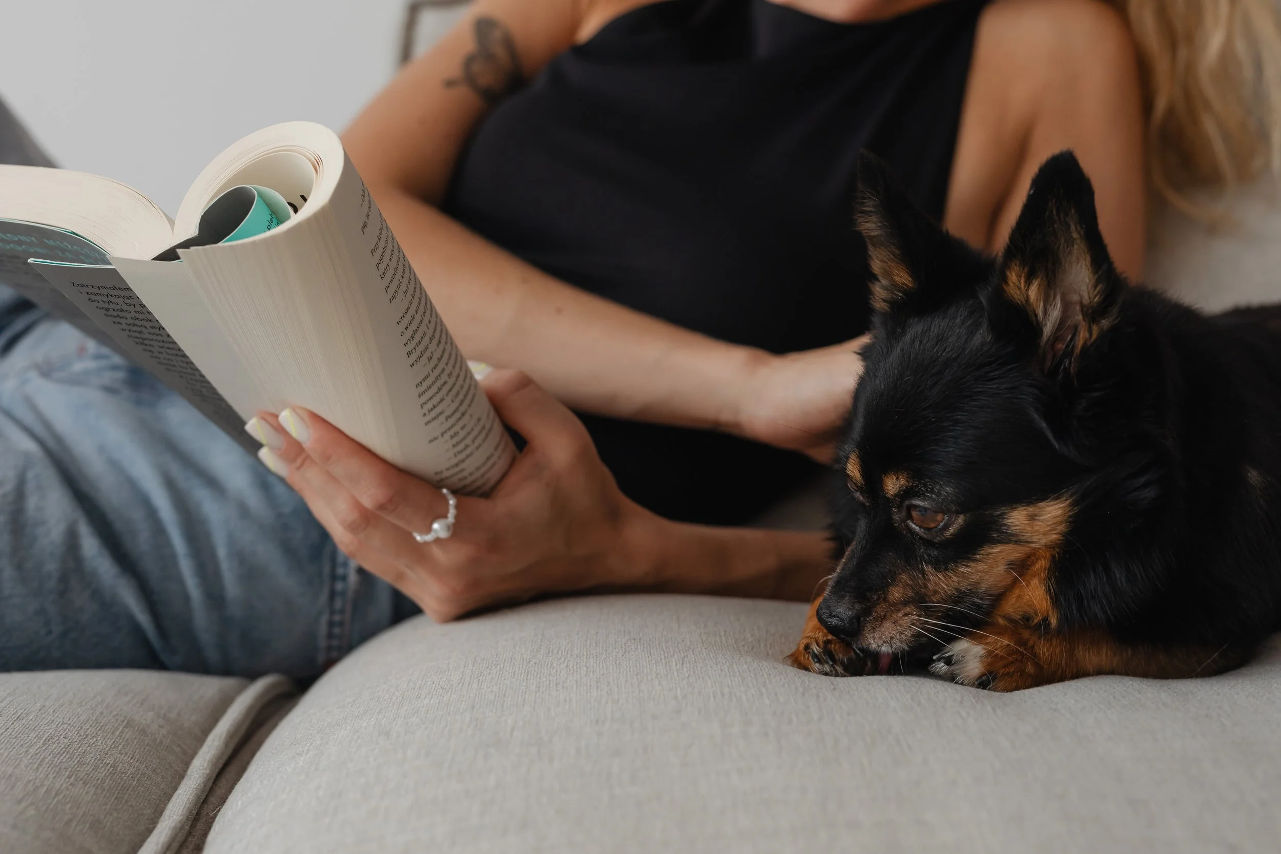 A person is sitting on a beige sofa, reading a book, holding it with one hand, and has a small black and brown dog lying beside them with its head resting on the sofa.