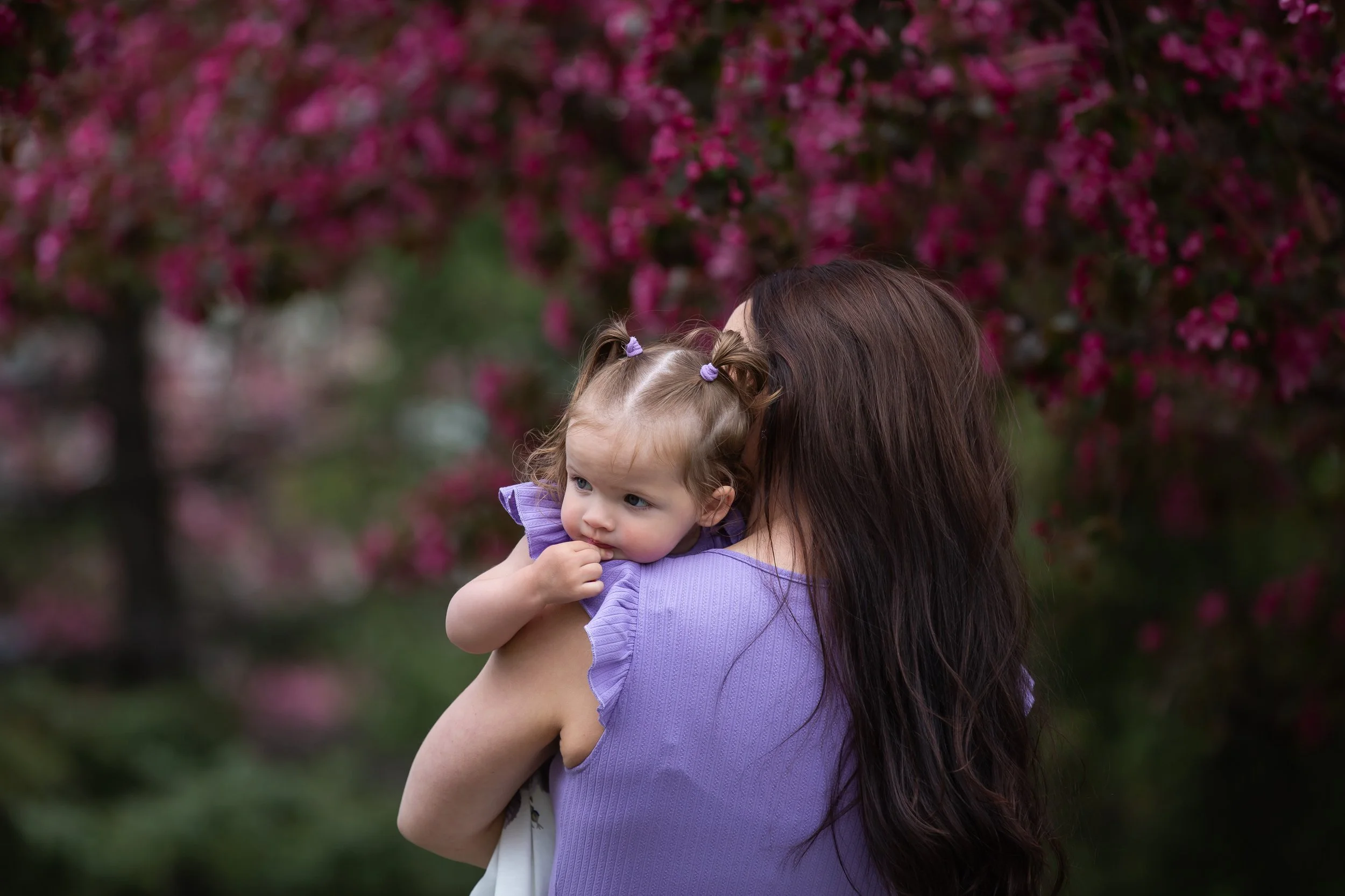 Spring Photos web-28 copy.jpg