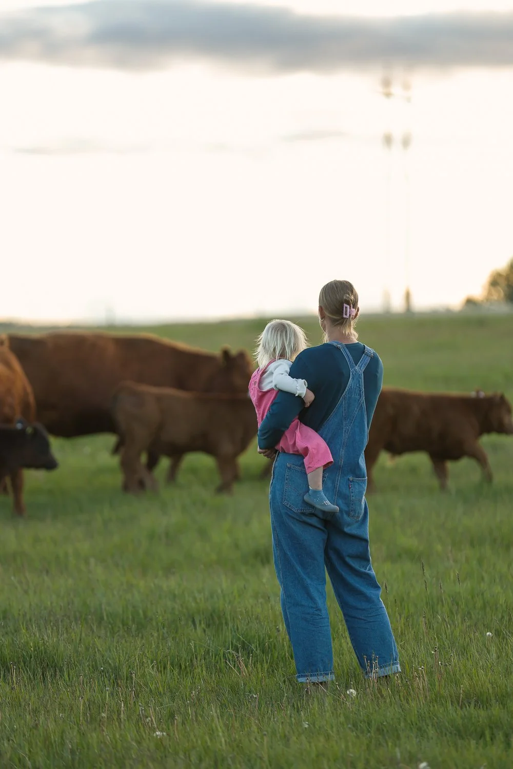 woman holding toddler watching cows in the field.jpg