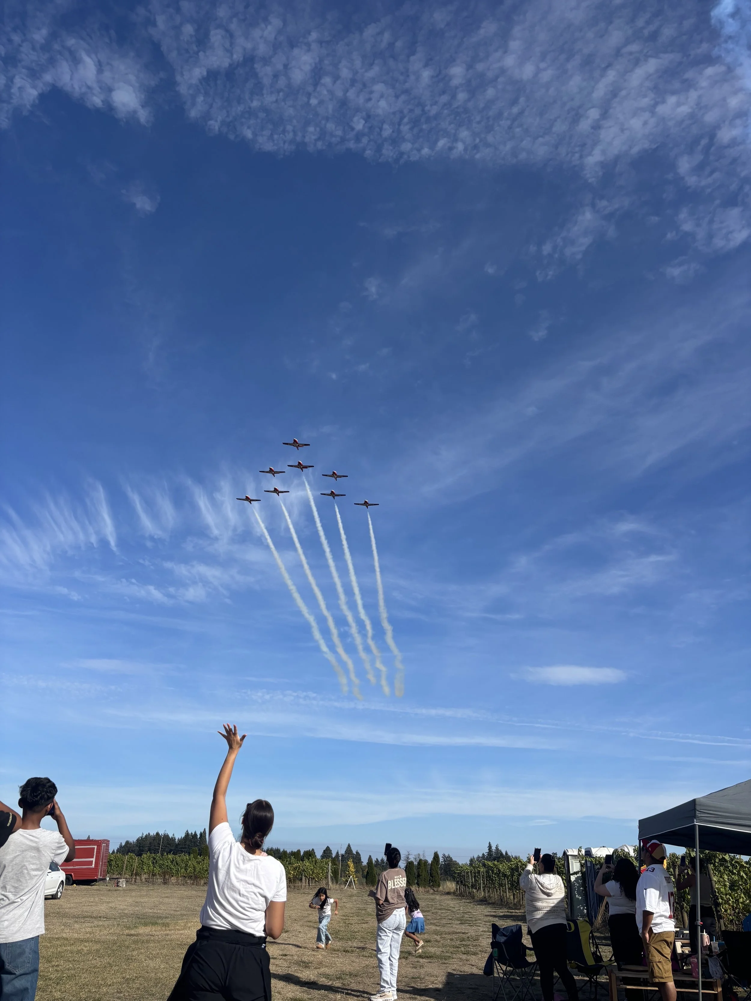 Annual Airshow Viewing